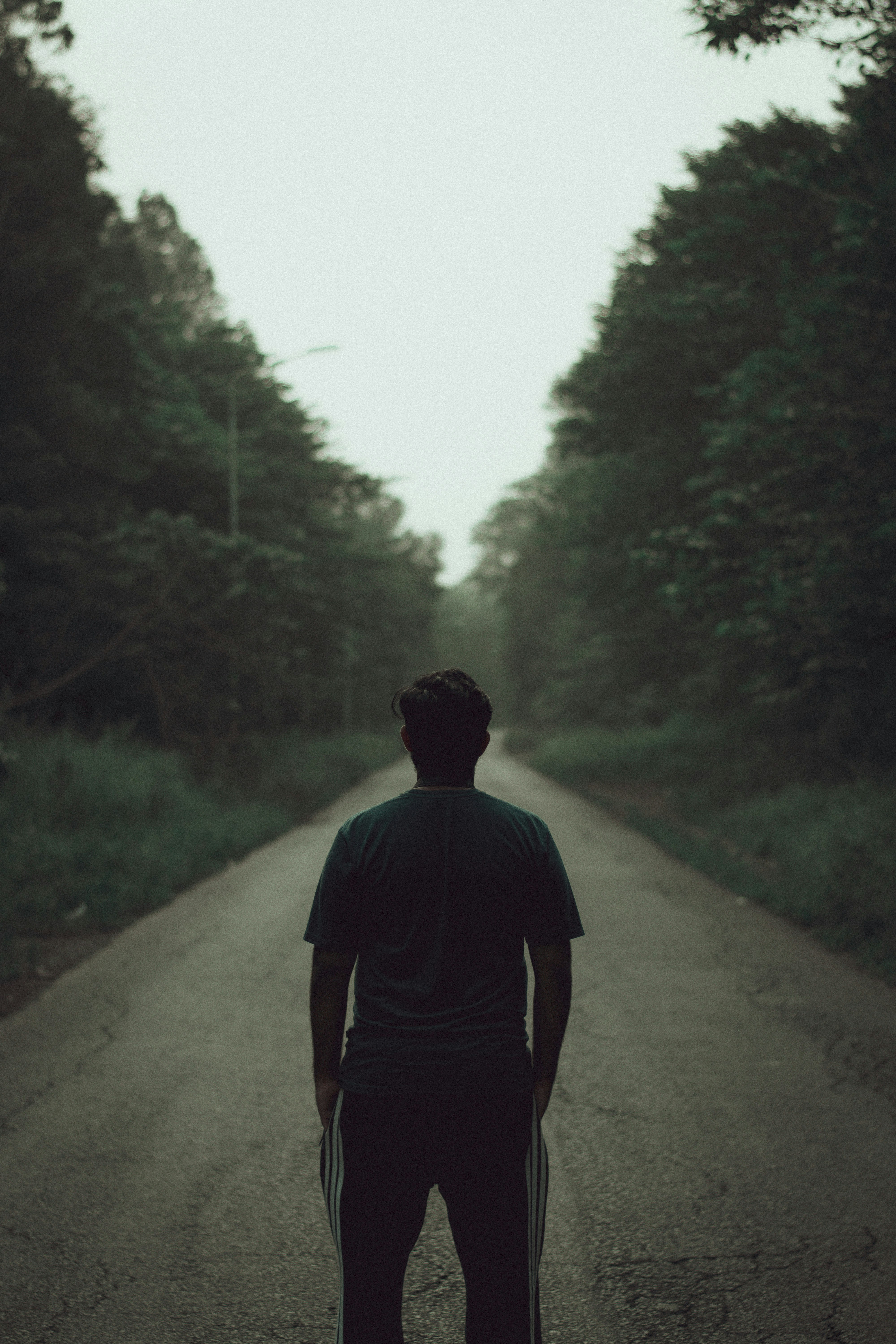 Photo by aliclicks306