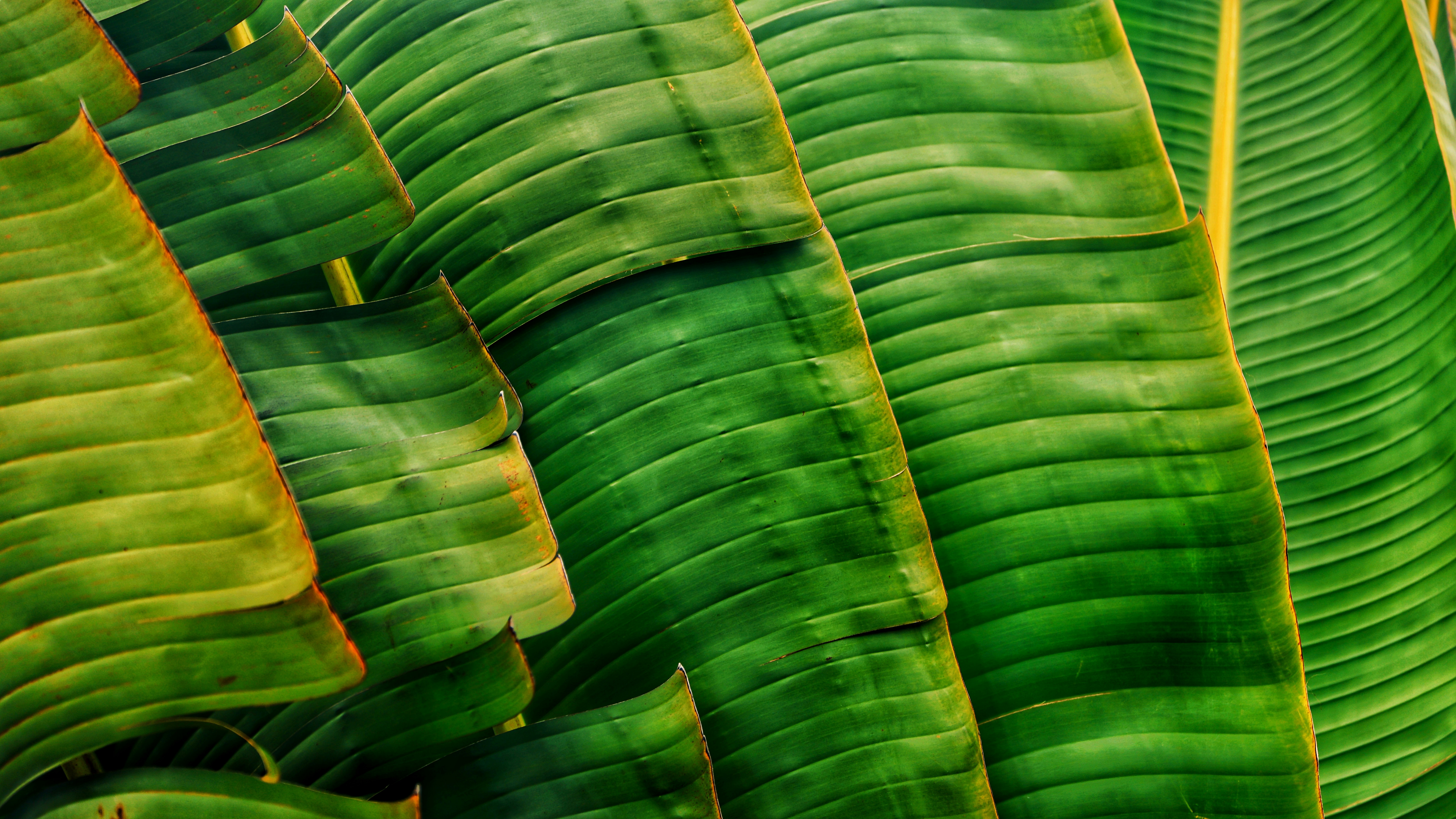 Photo by dickenslin76