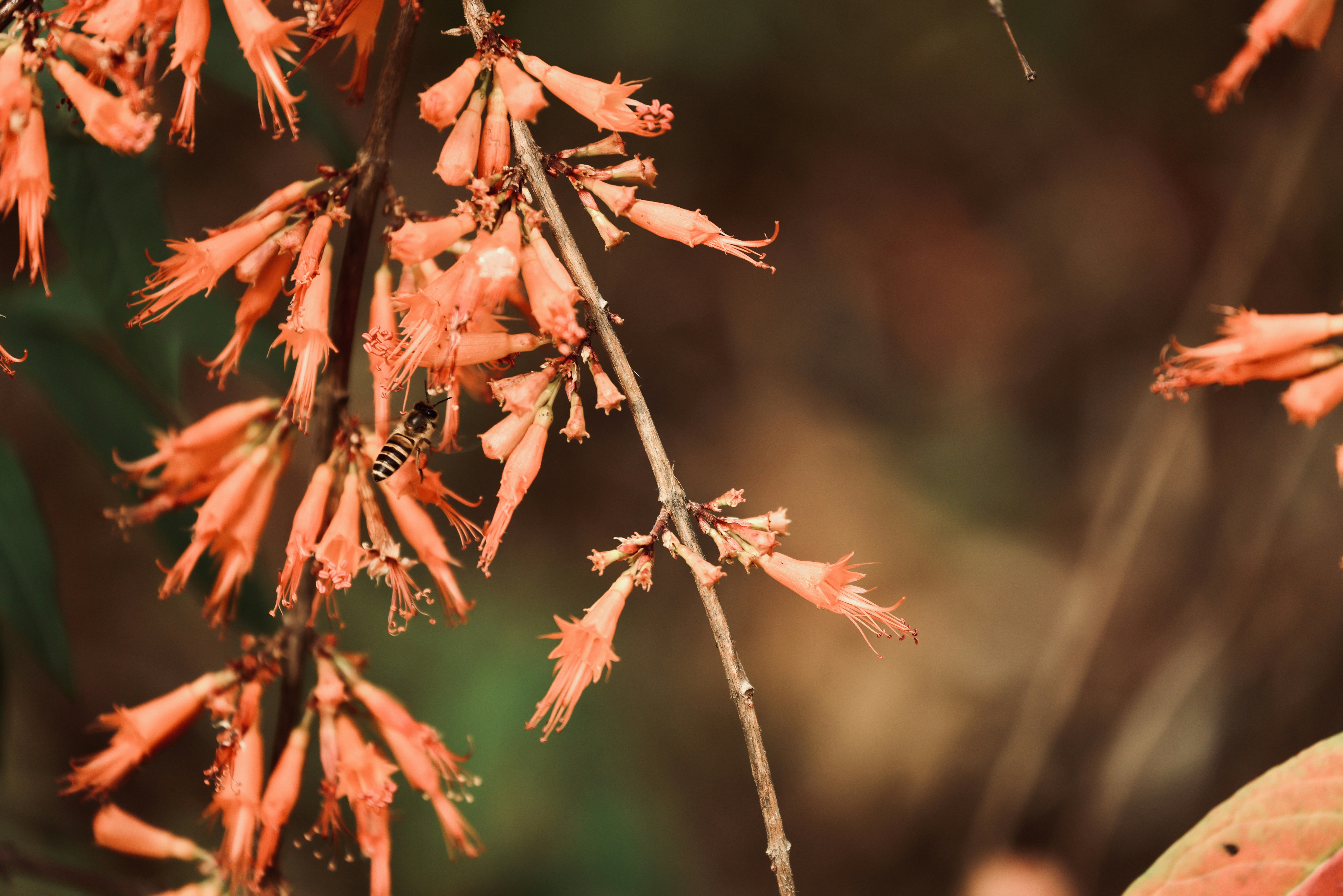 Photo by dickenslin76