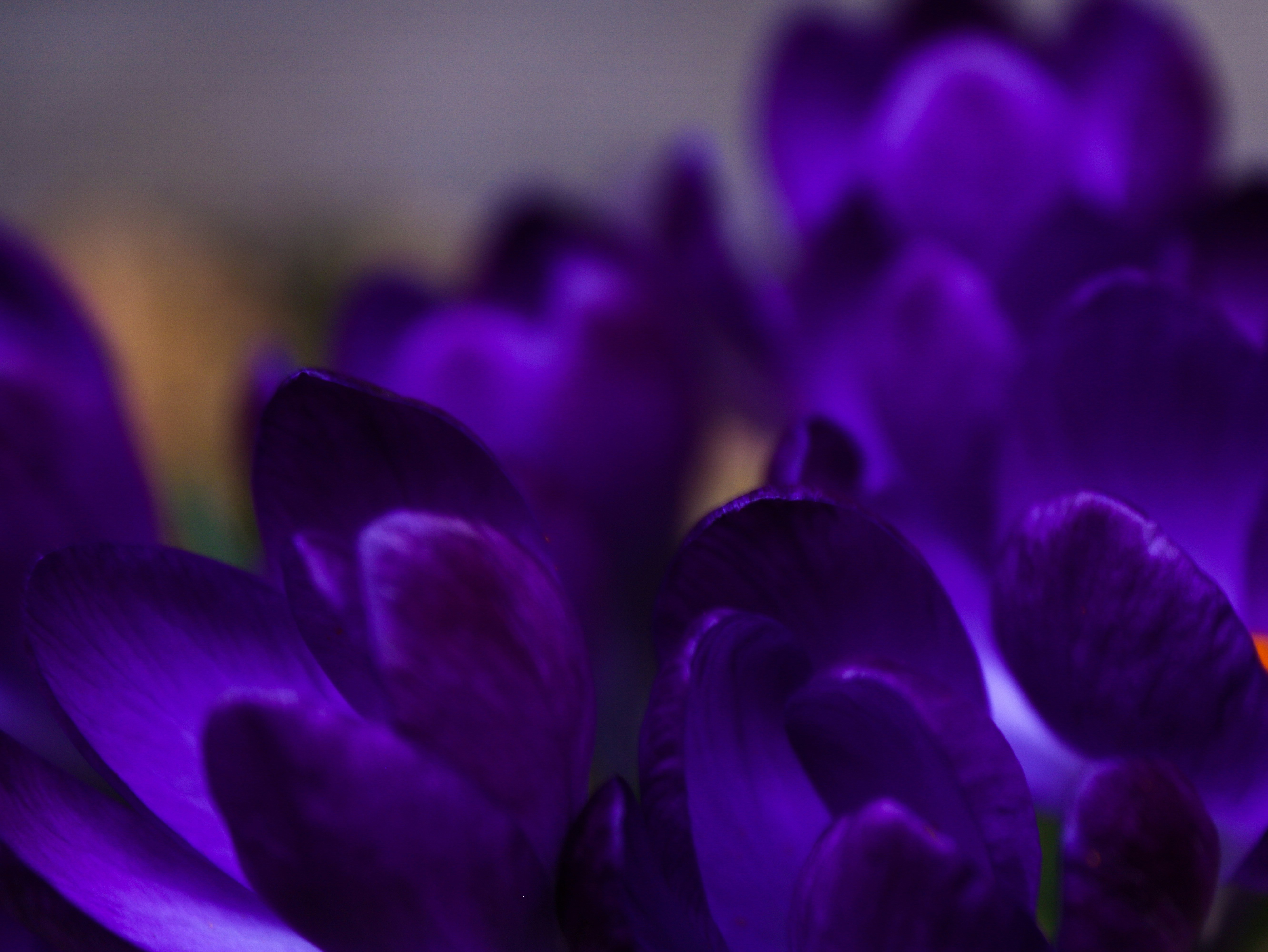 Photo by thee_photography_