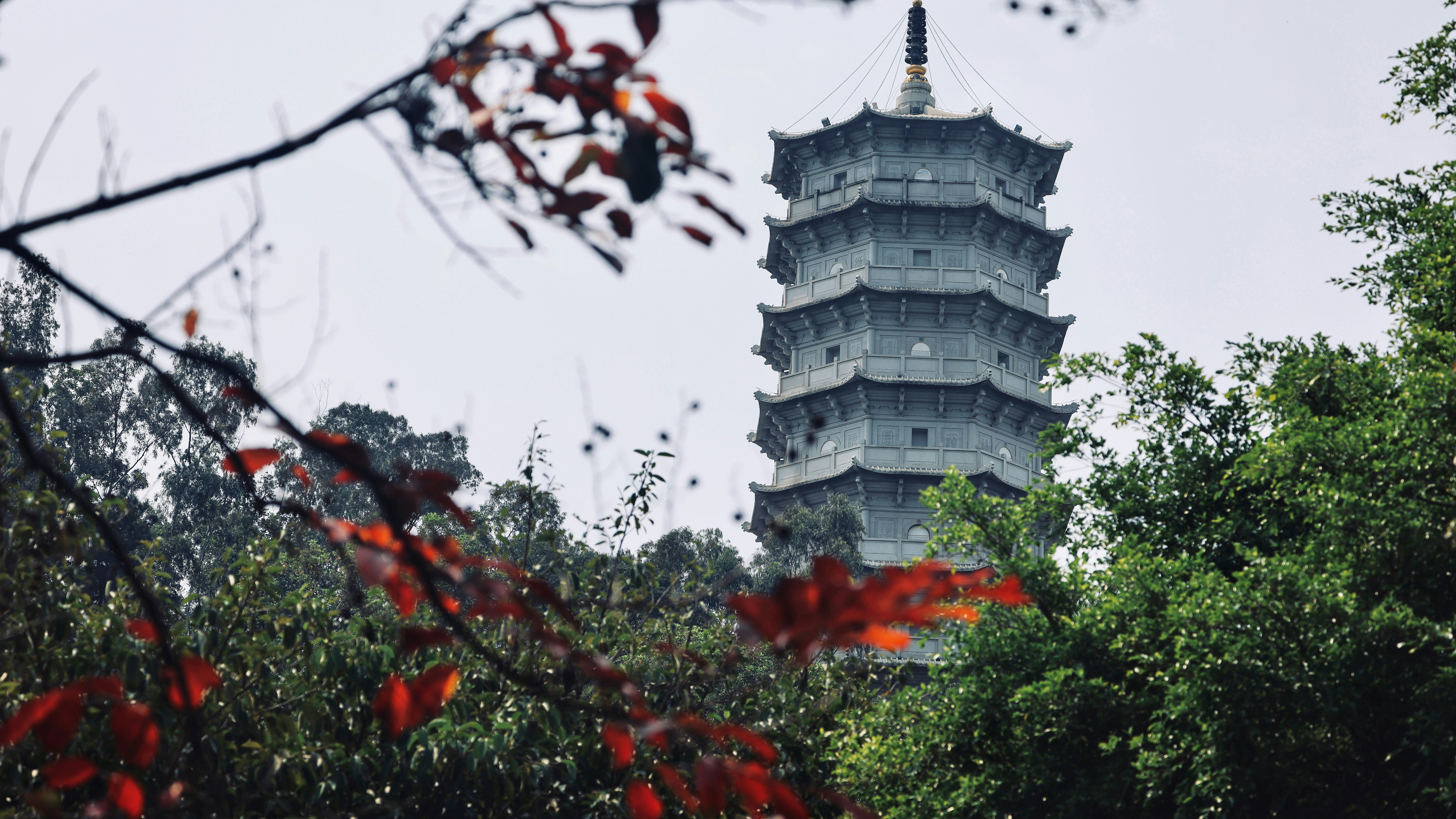 Photo by dickenslin76