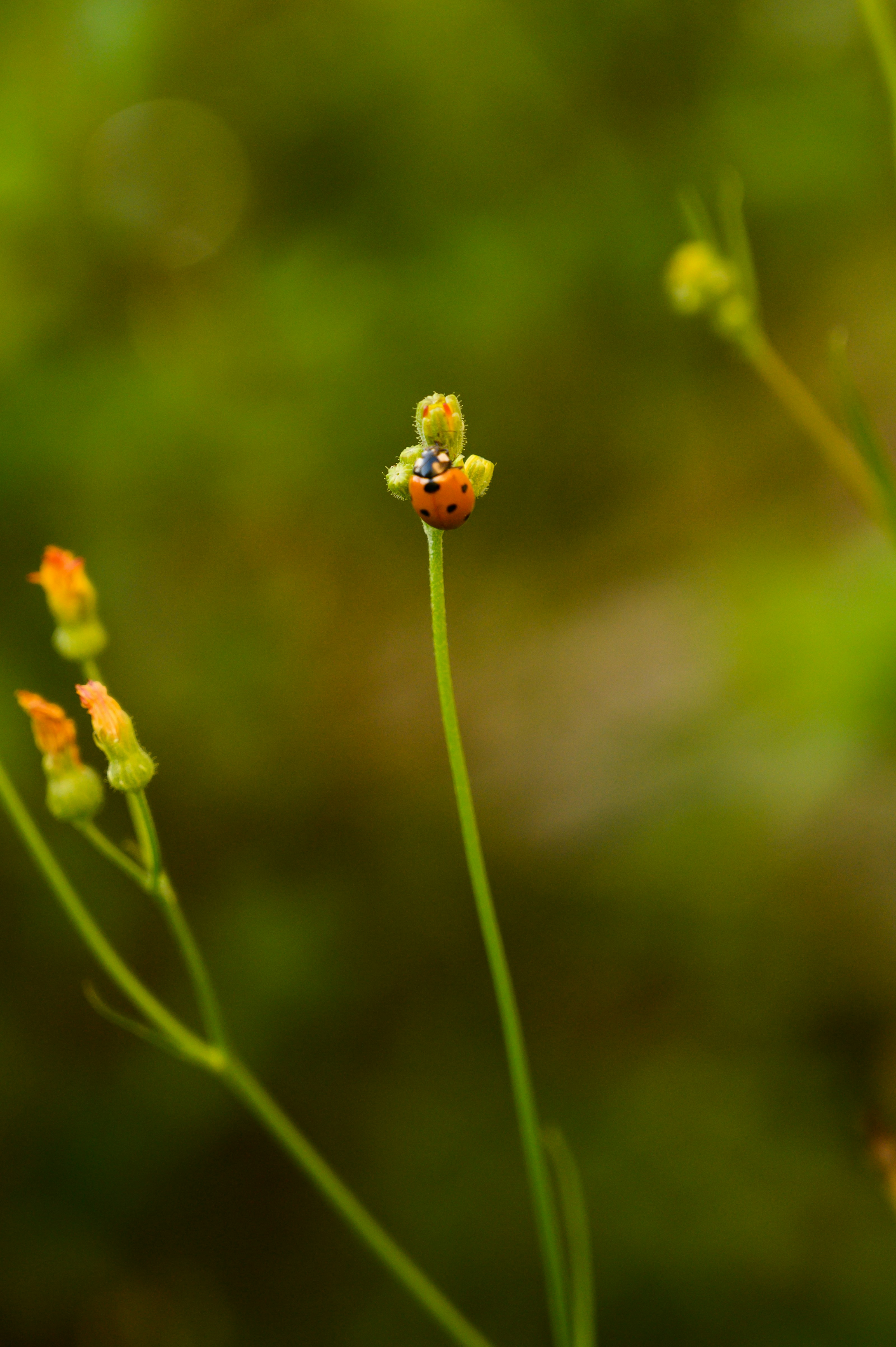 Photo by babettelandmesser