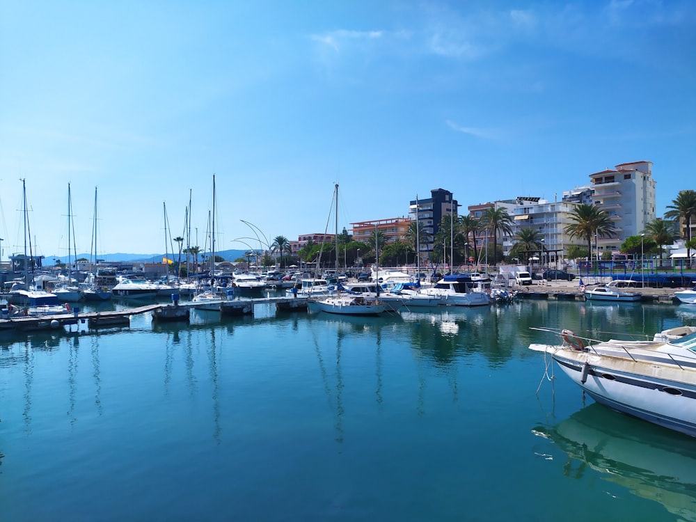 a harbor filled with lots of boats next to tall buildings