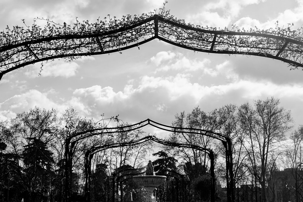 a black and white photo of a park