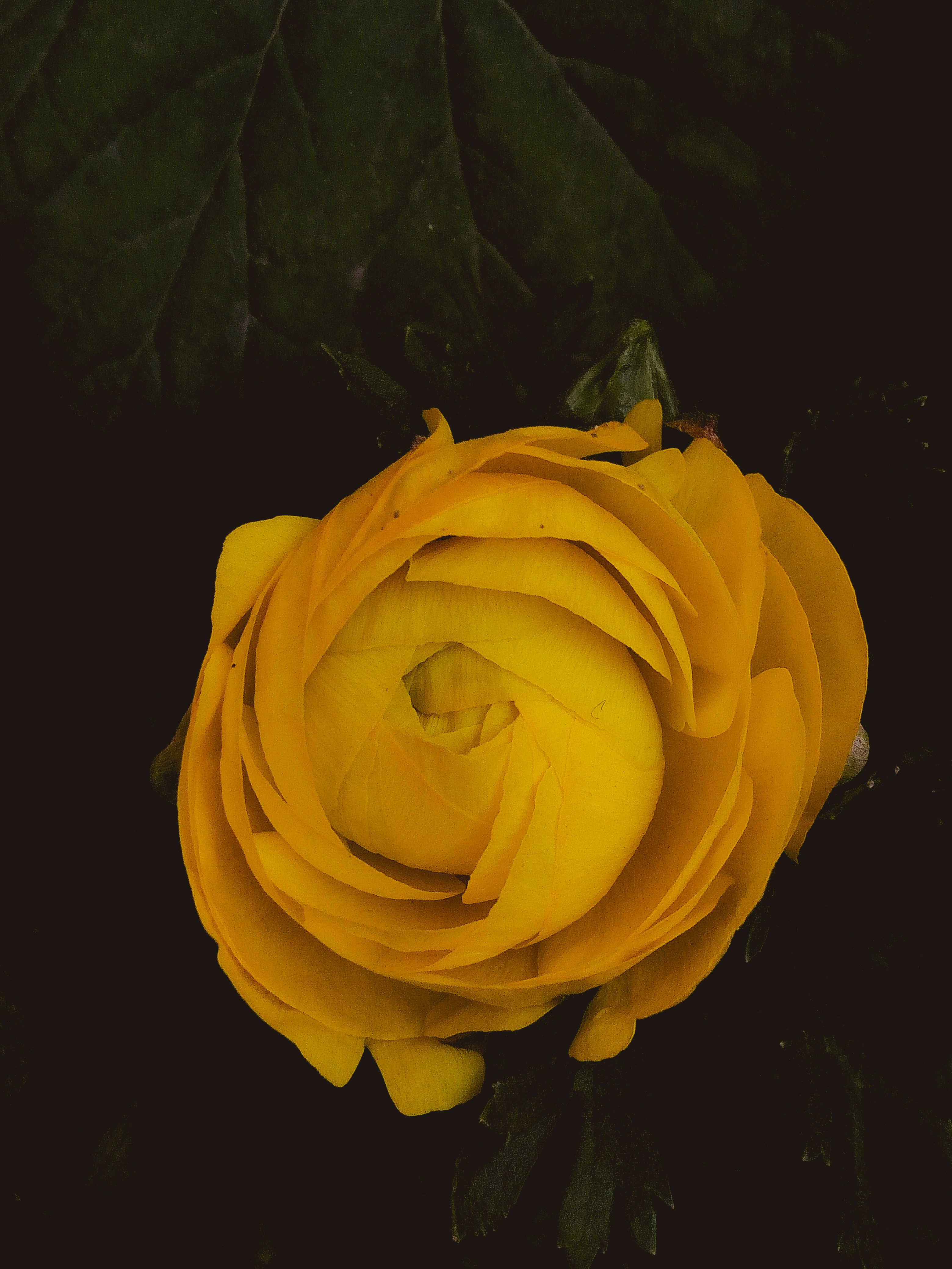 Photo by justcapturingit