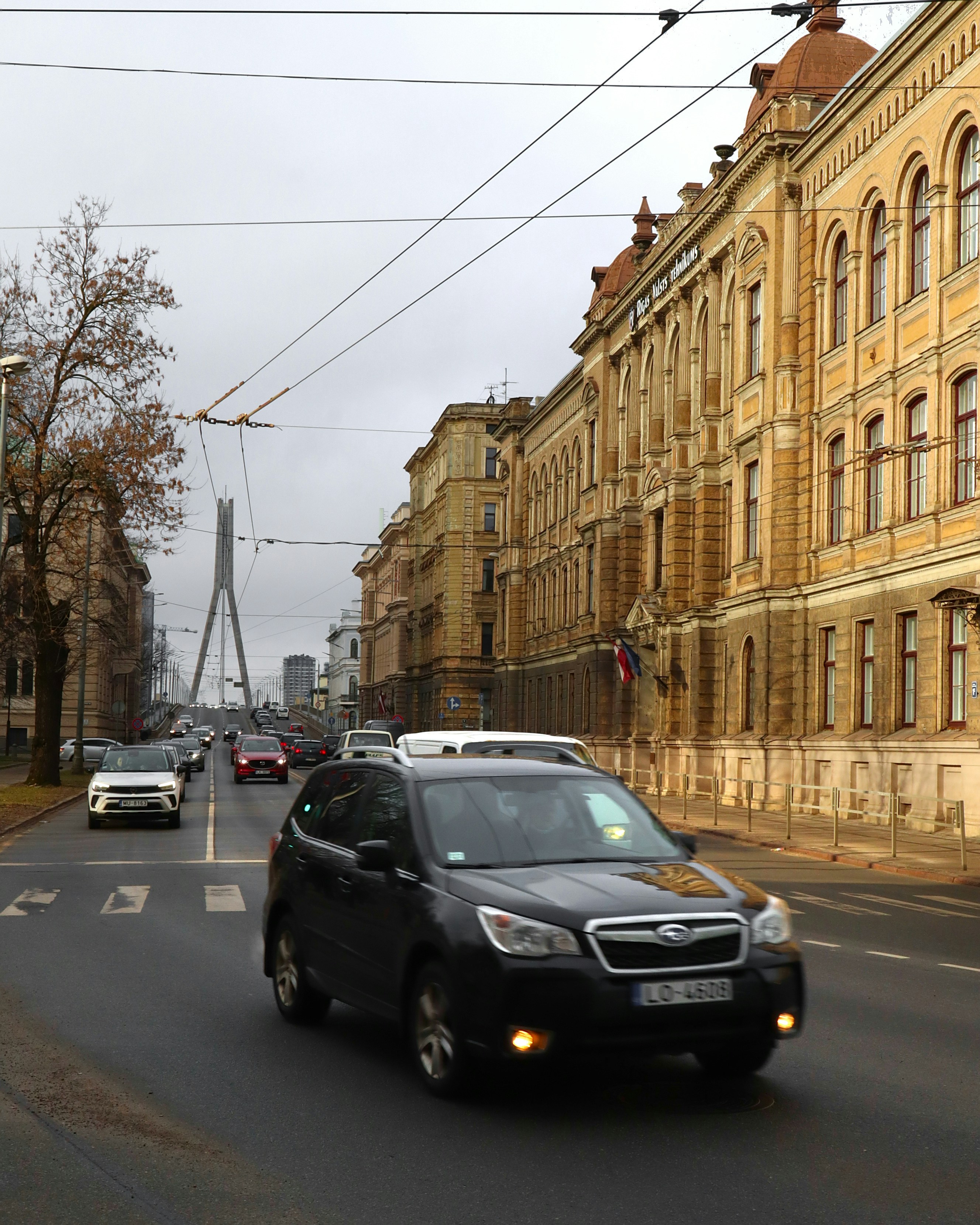 Photo by sofijastefa