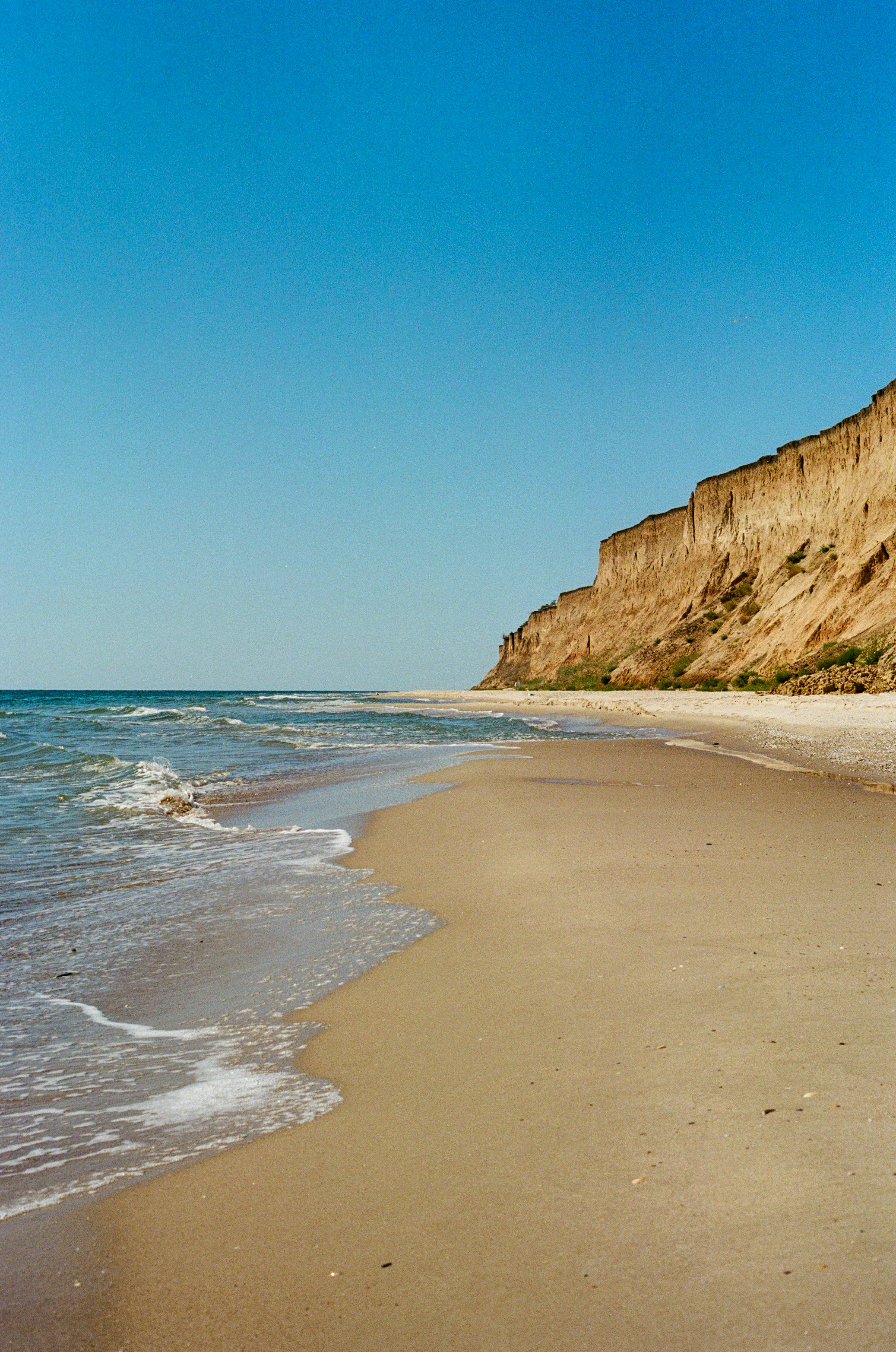 Photo by olegivanovpht
