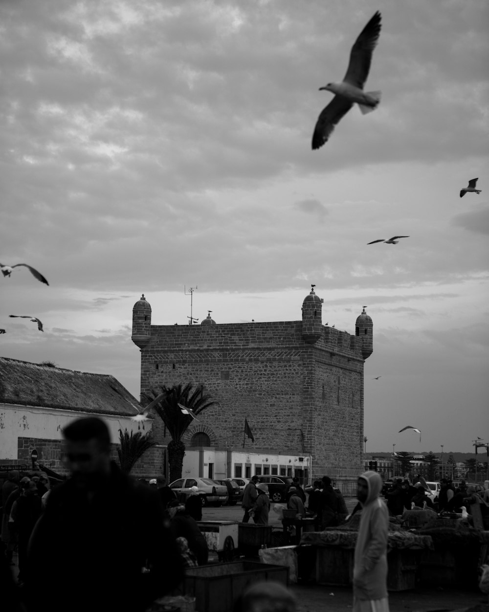 a flock of birds flying over a crowd of people