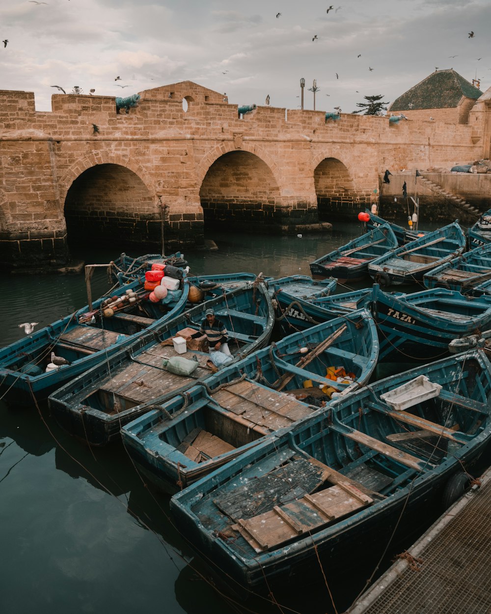 a group of blue boats sitting next to each other