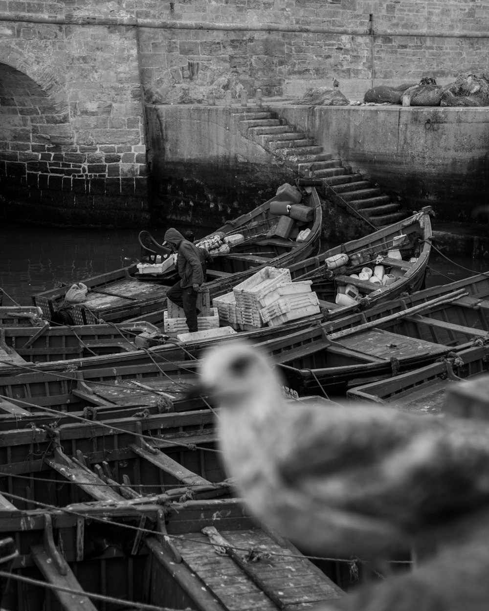 a black and white photo of some boats and a seagull