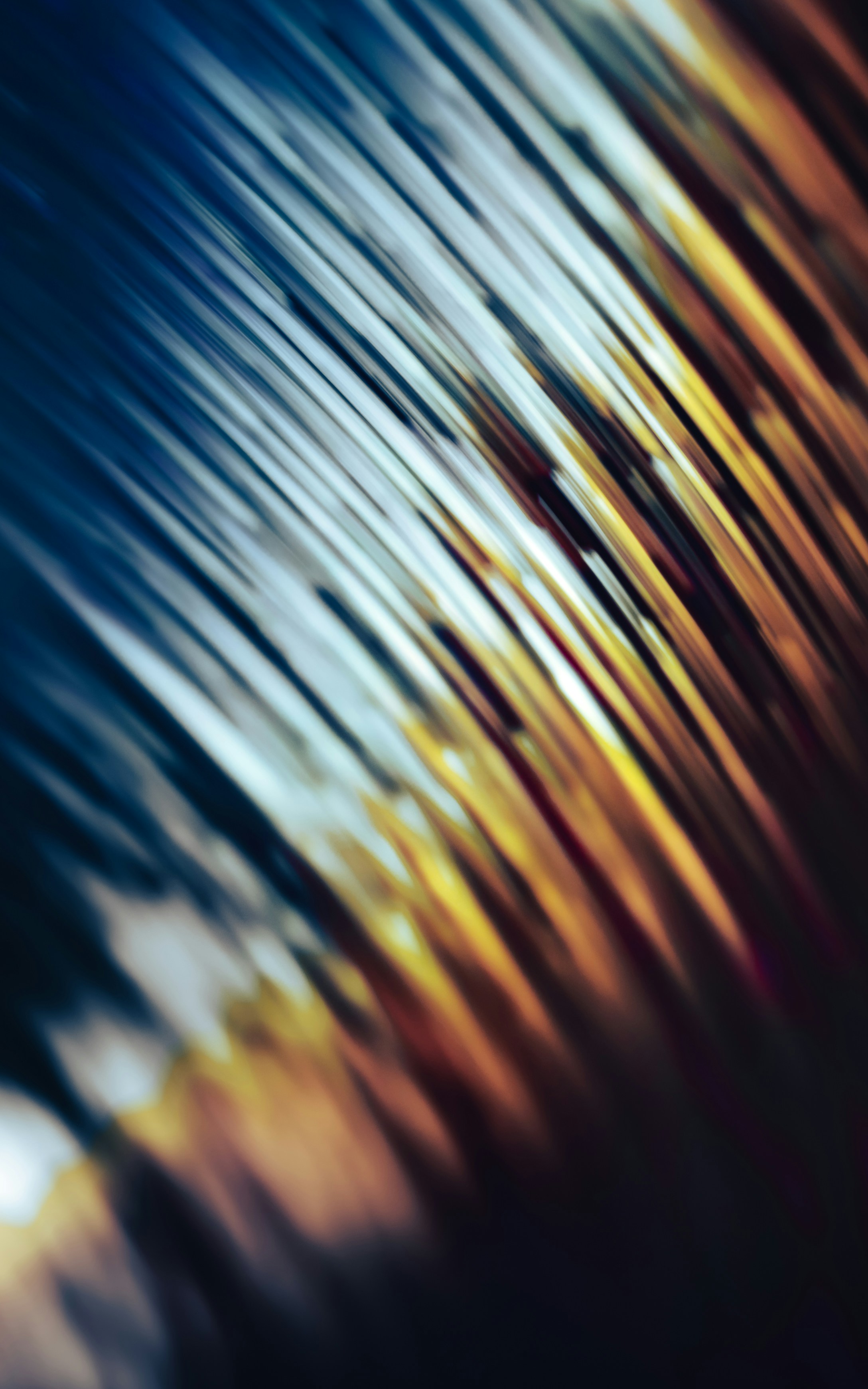 Photo by marekpiwnicki