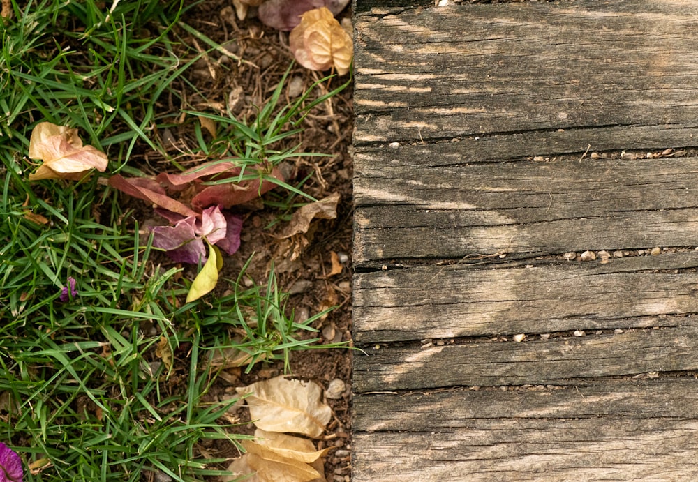 a piece of wood that has some flowers on it