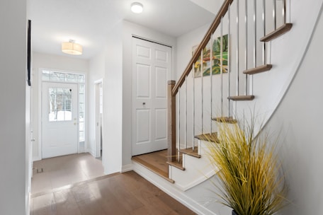 a white staircase with wooden handrails and a potted plant