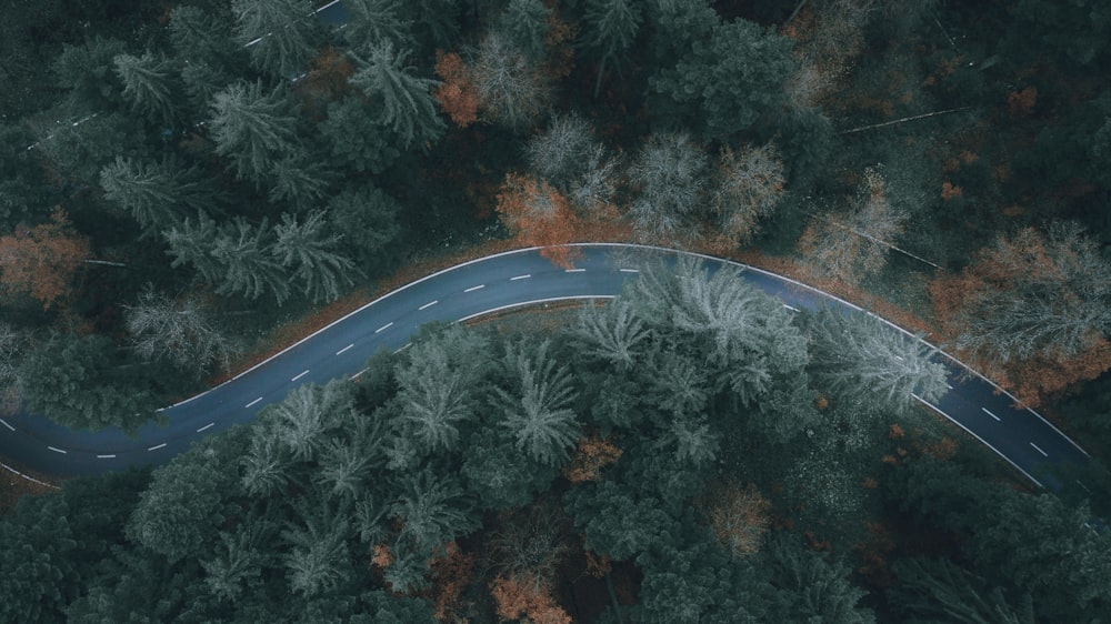 an aerial view of a road in the middle of a forest