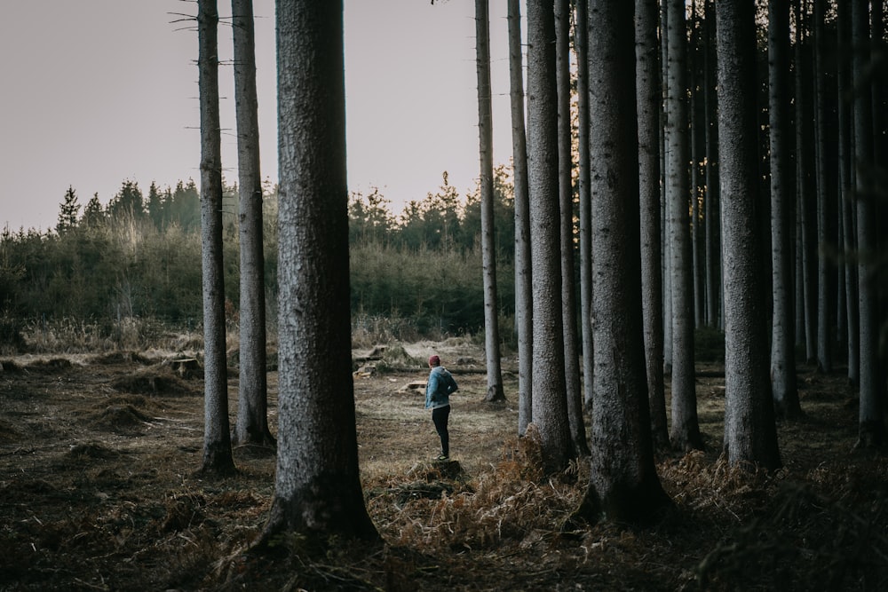 a person standing in the middle of a forest