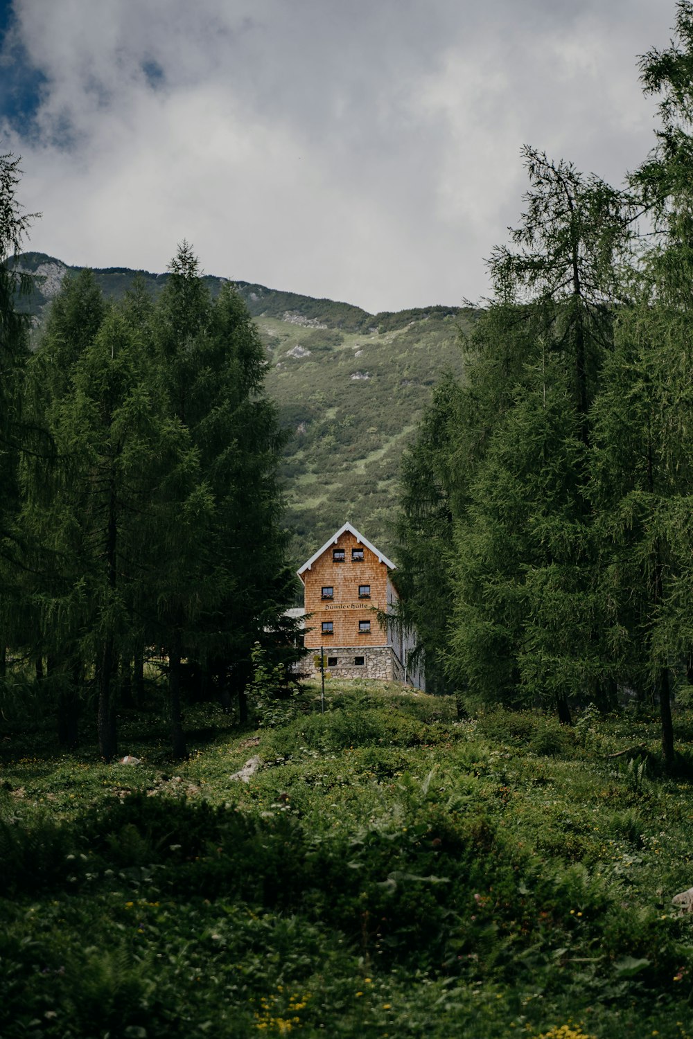 a house sitting in the middle of a forest