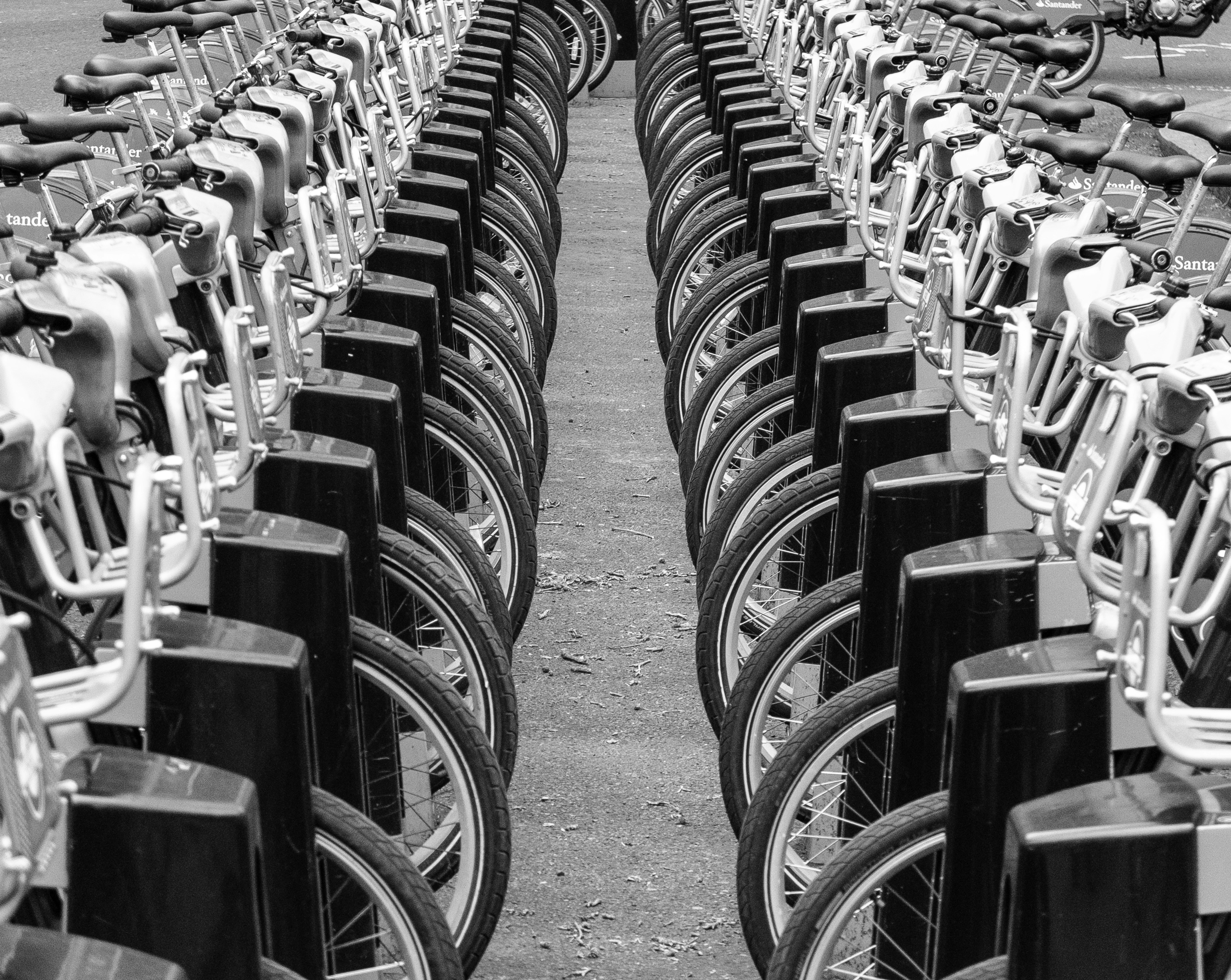 a long row of bicycles parked next to each other