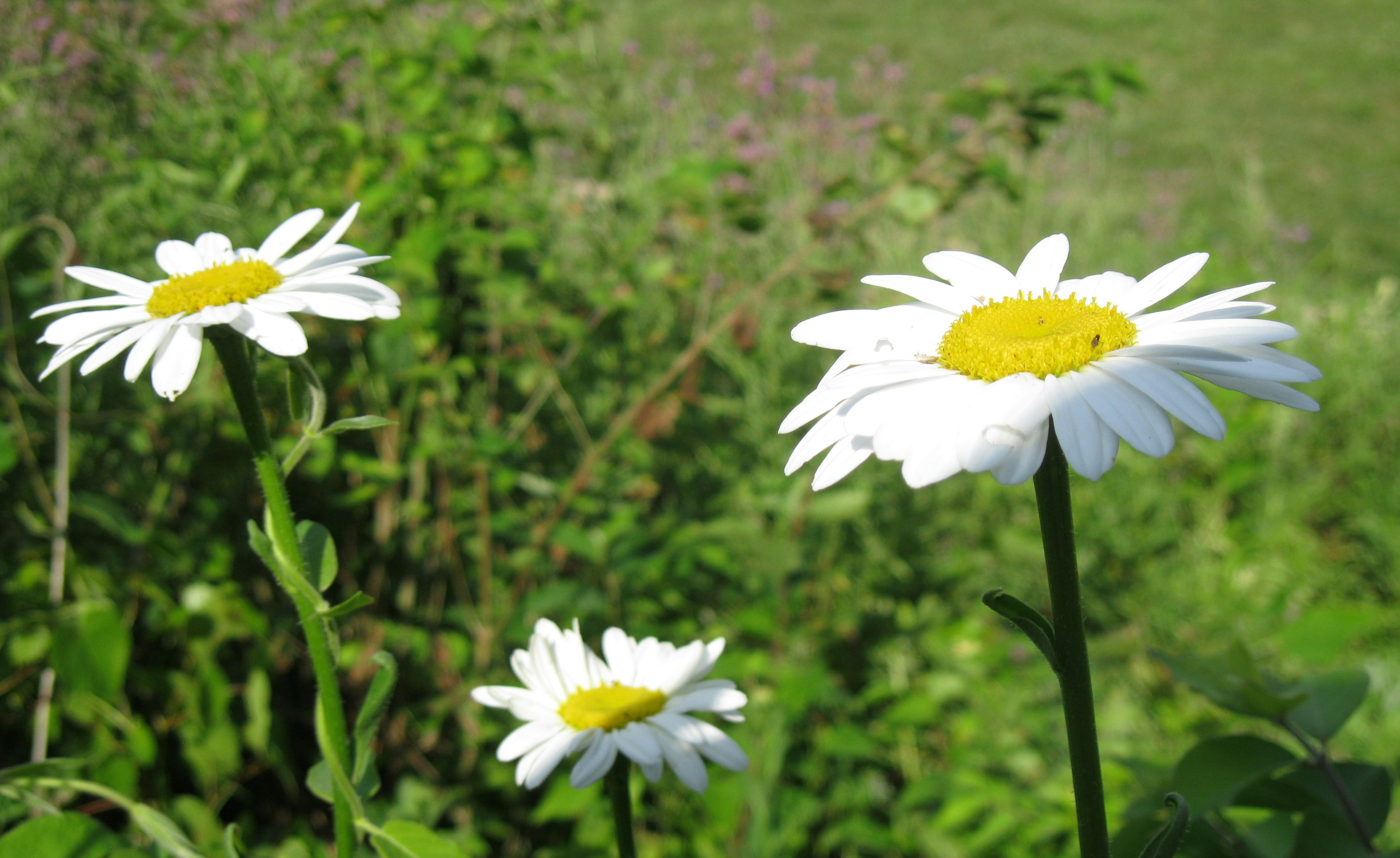 Photo by papostolides