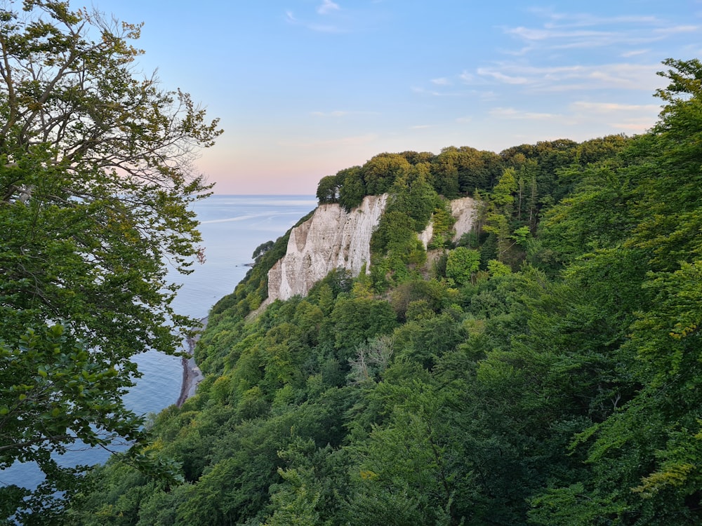 a scenic view of a cliff with trees on both sides
