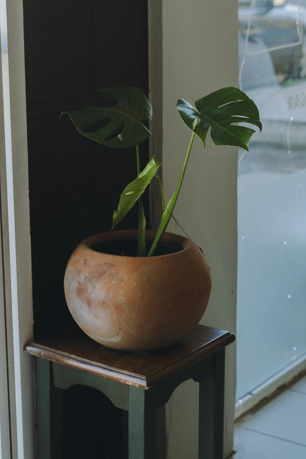 a potted plant sitting on top of a wooden table
