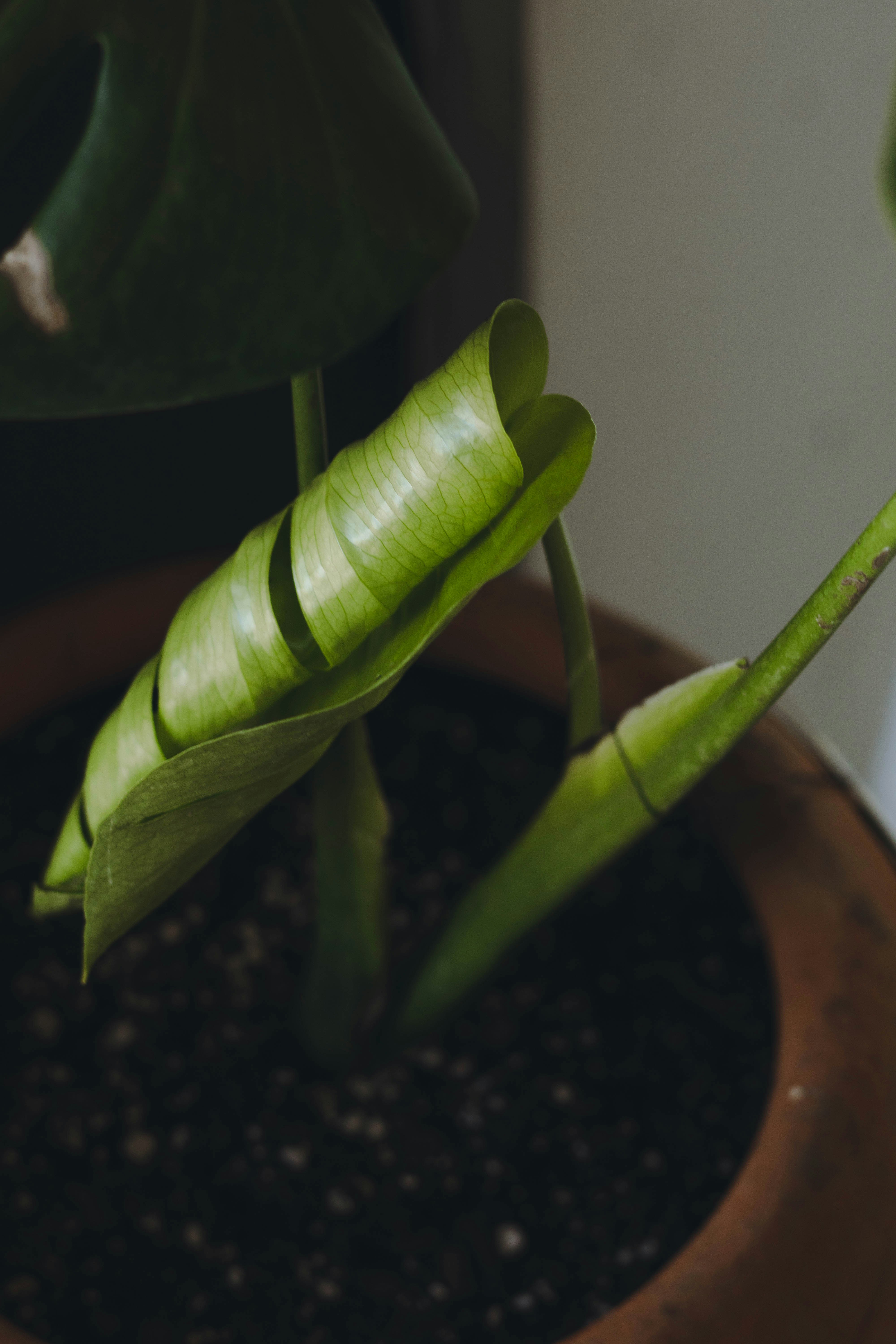 Photo by marcoelizaldemx