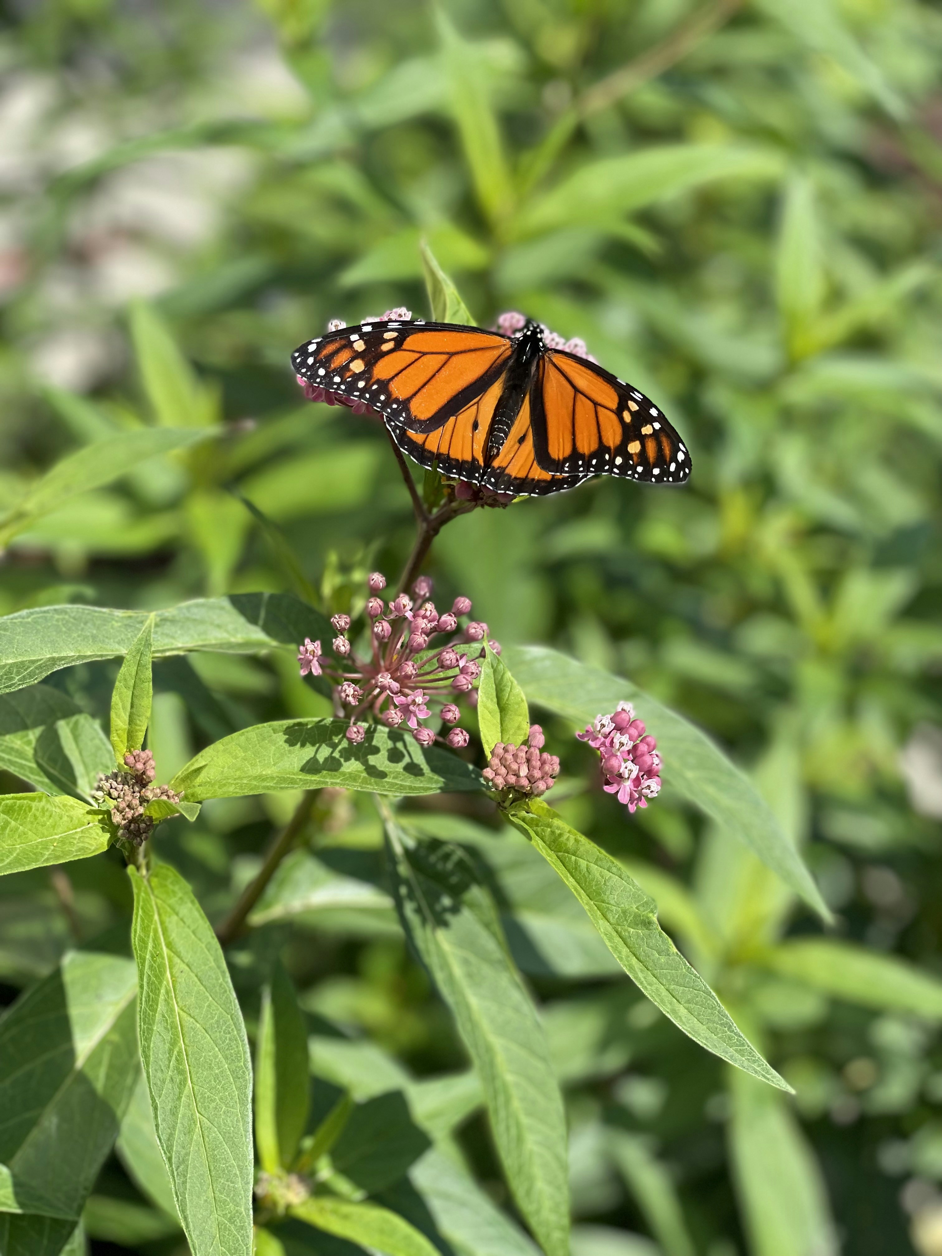 Photo by 4nataliando