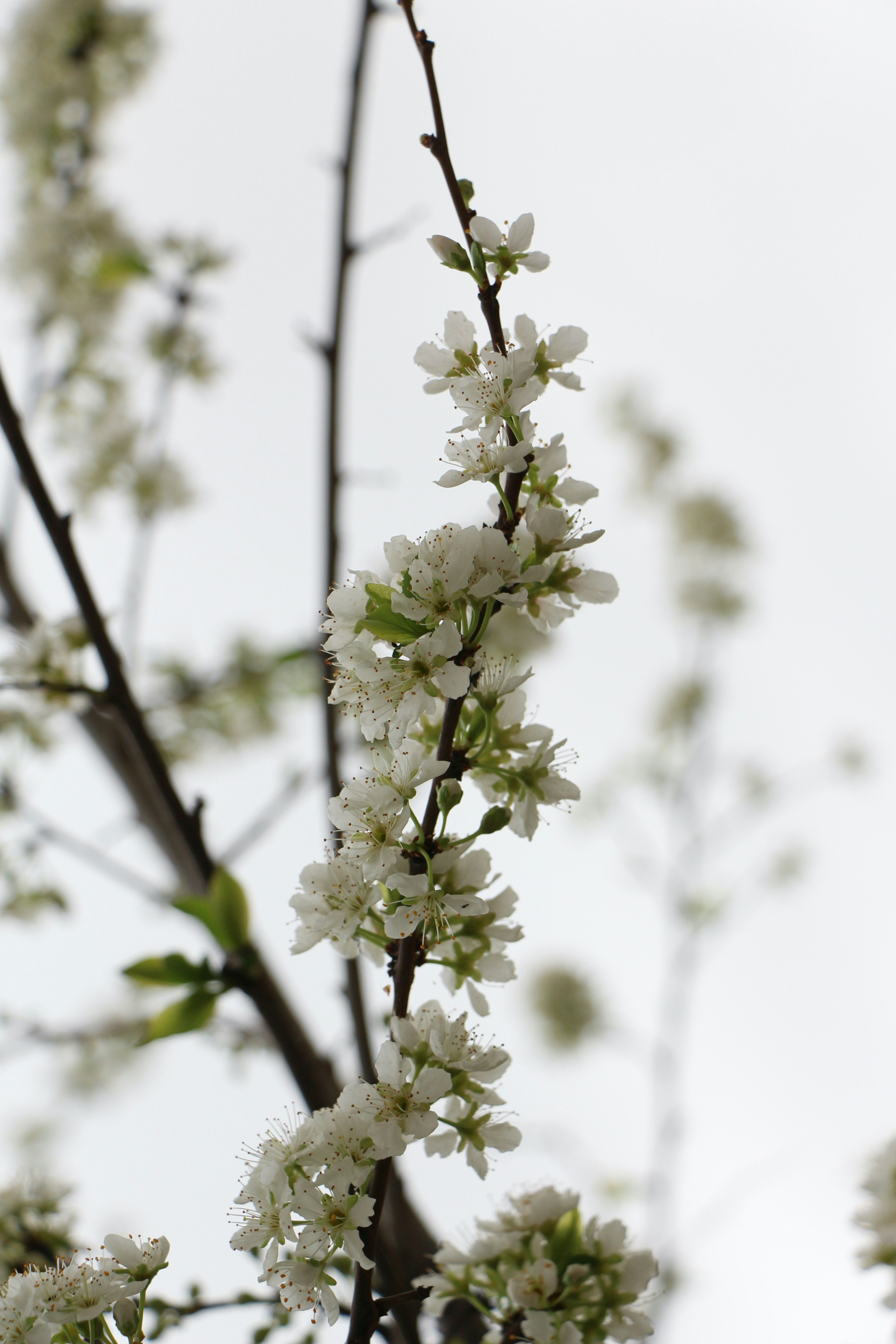 Photo by elnazasadi