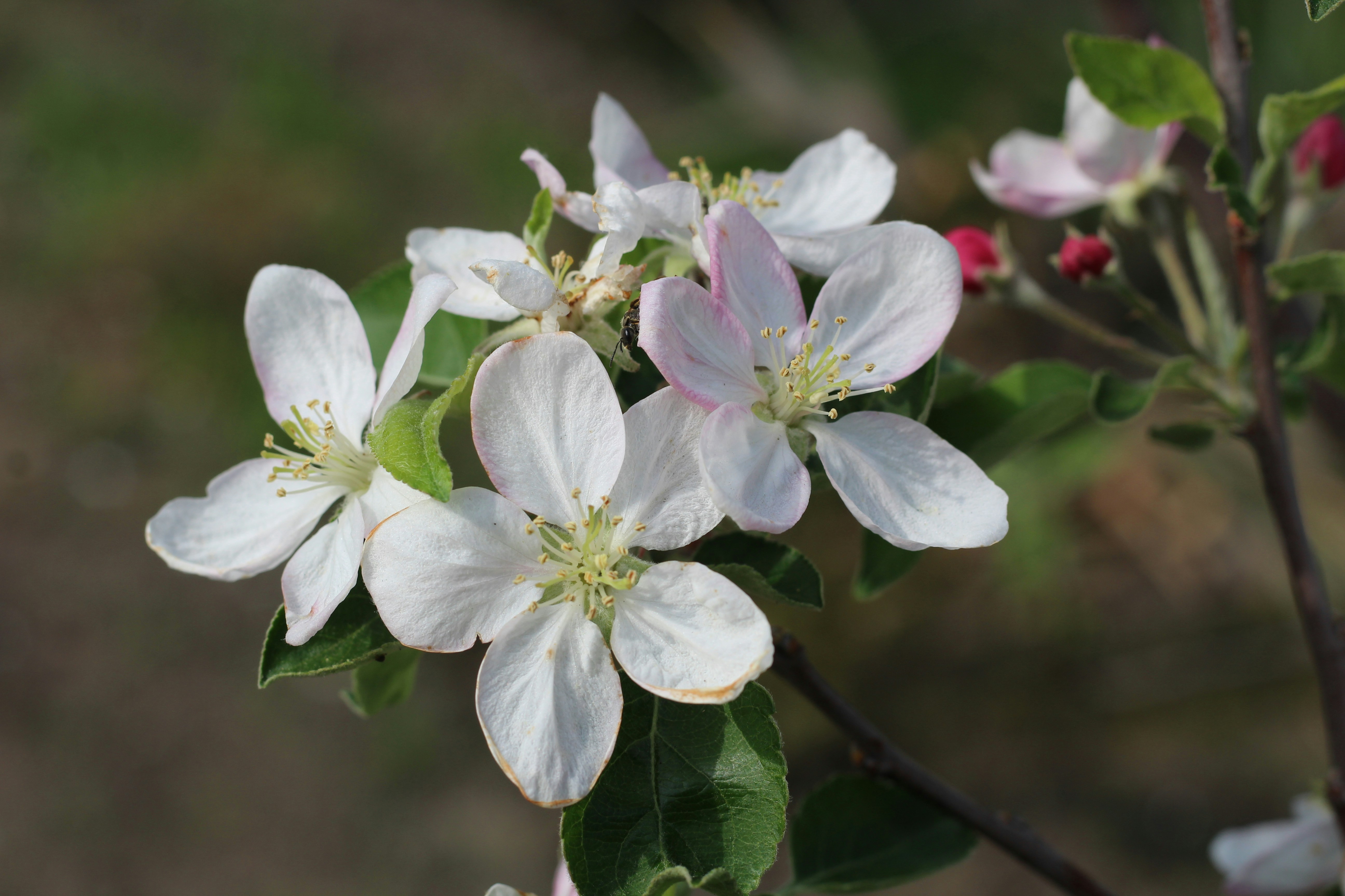 Photo by marina_yalanska