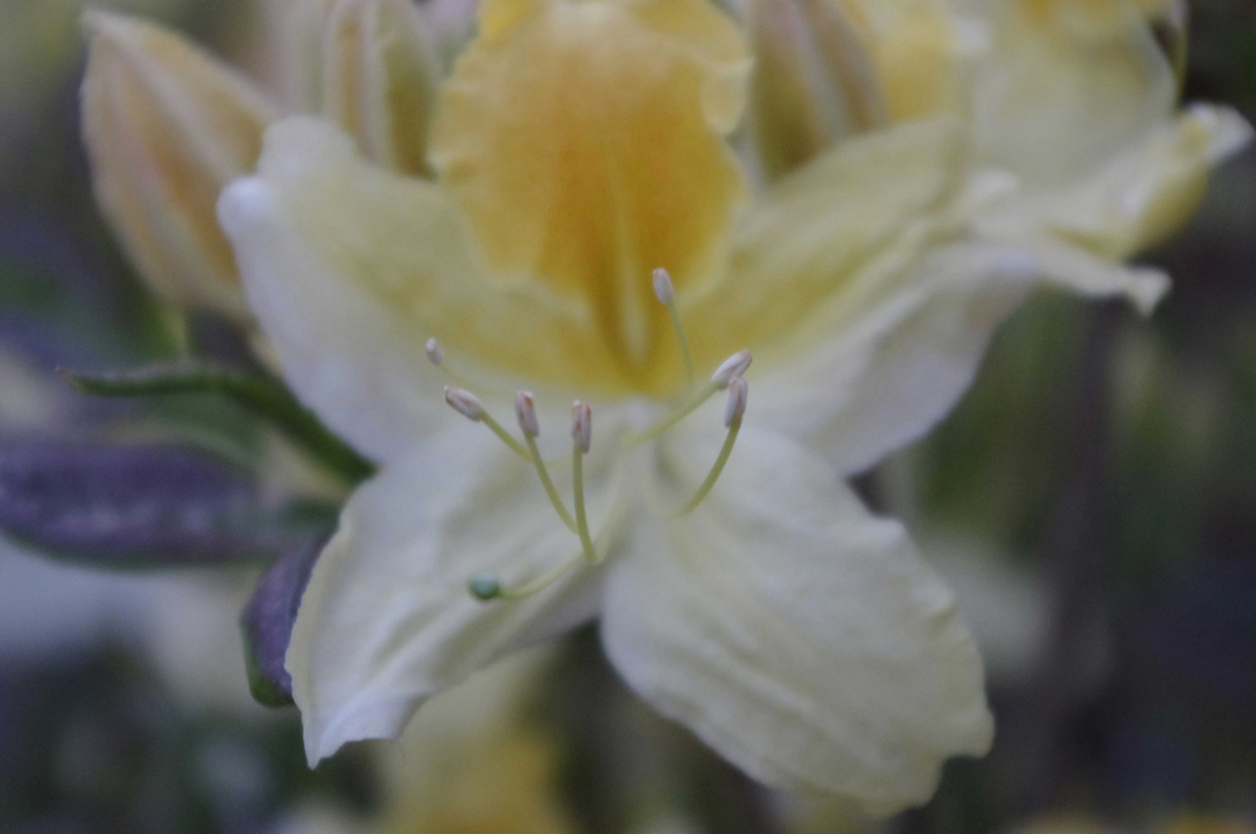 Photo by outimarjaana