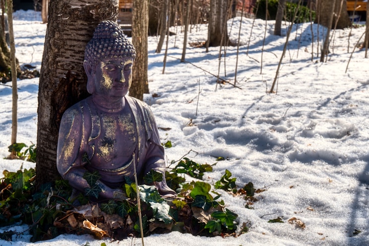 a buddha statue sitting in the snow next to a tree