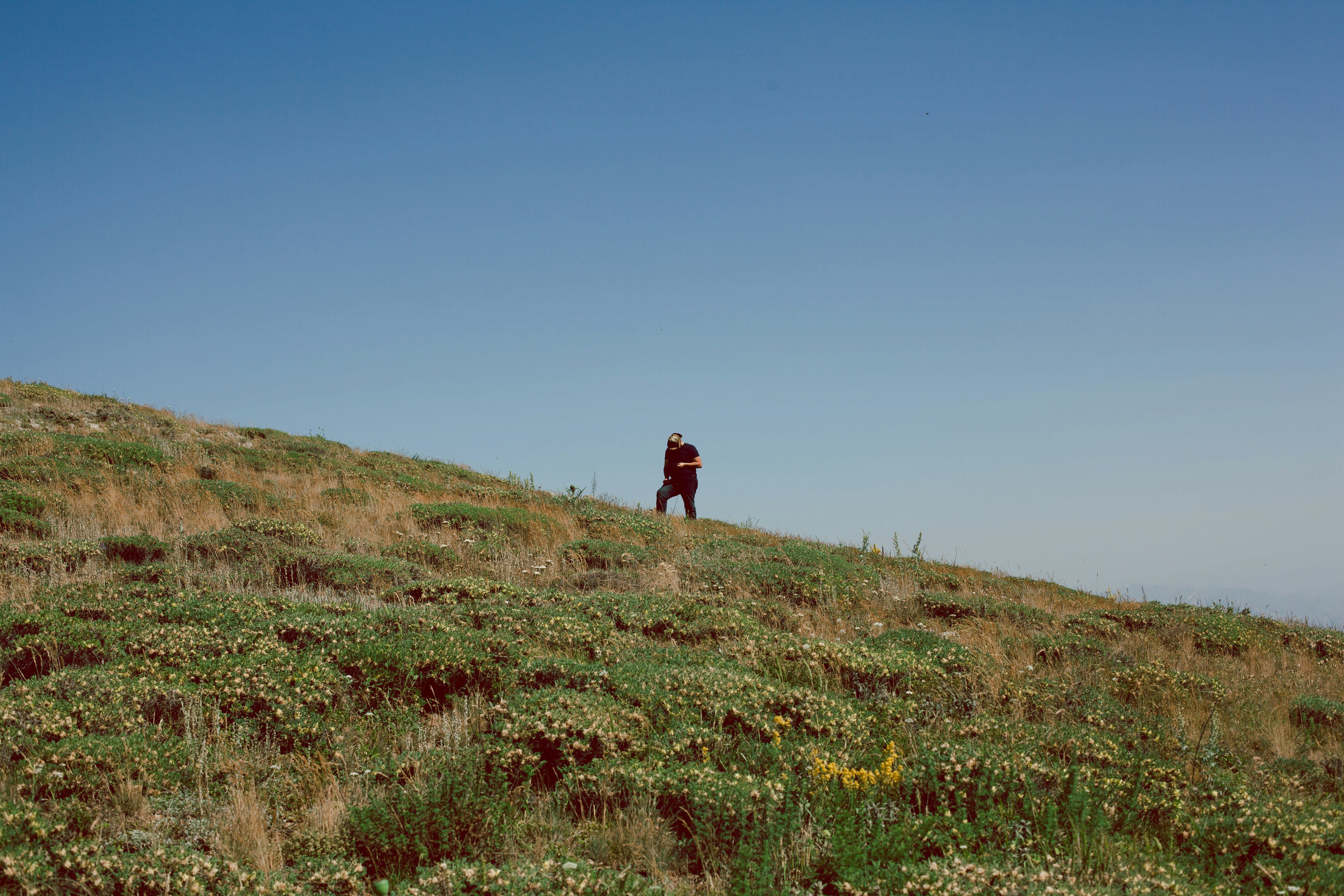 Photo by koryunhills