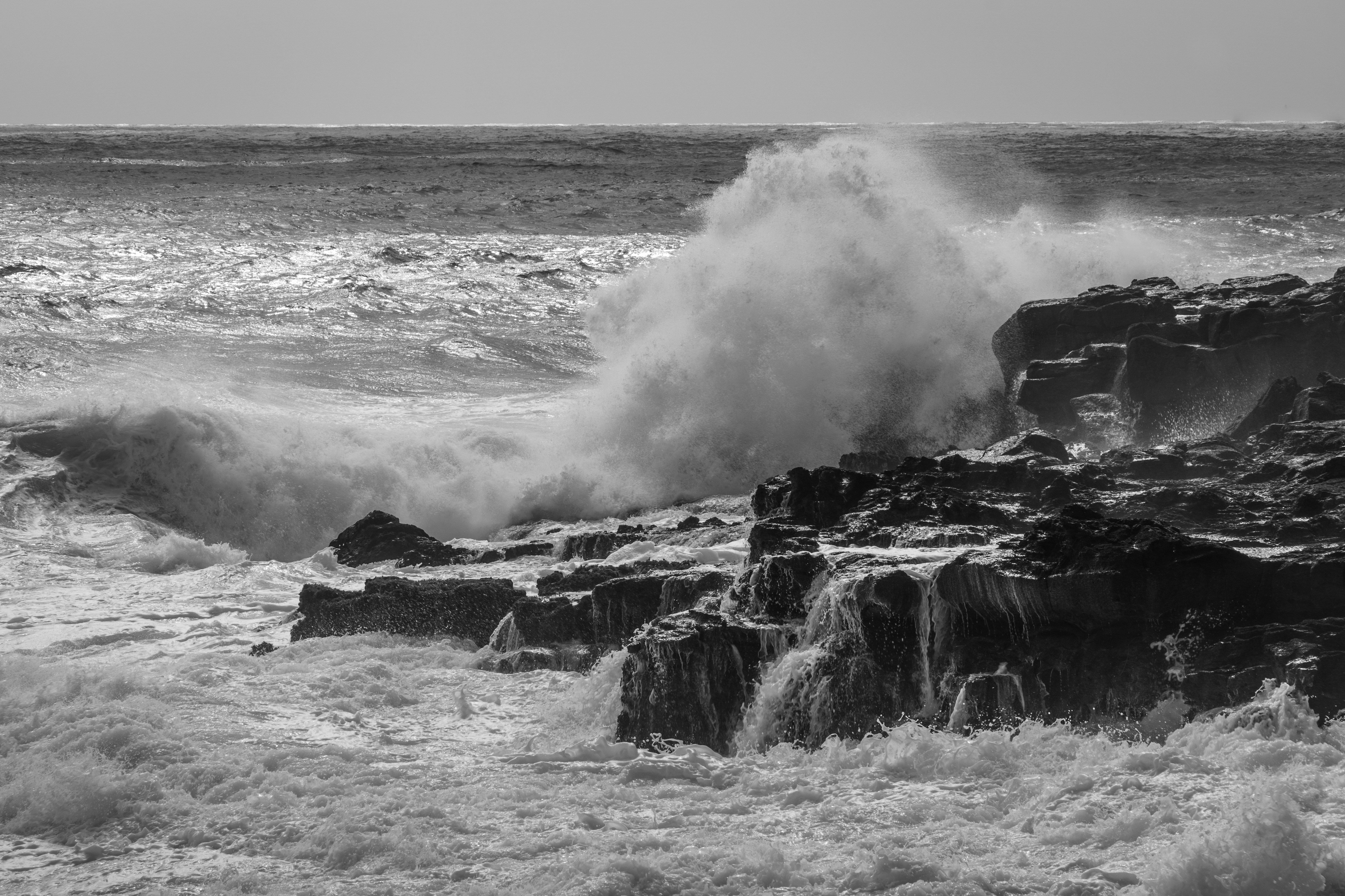 Photo by earl_plannerzone