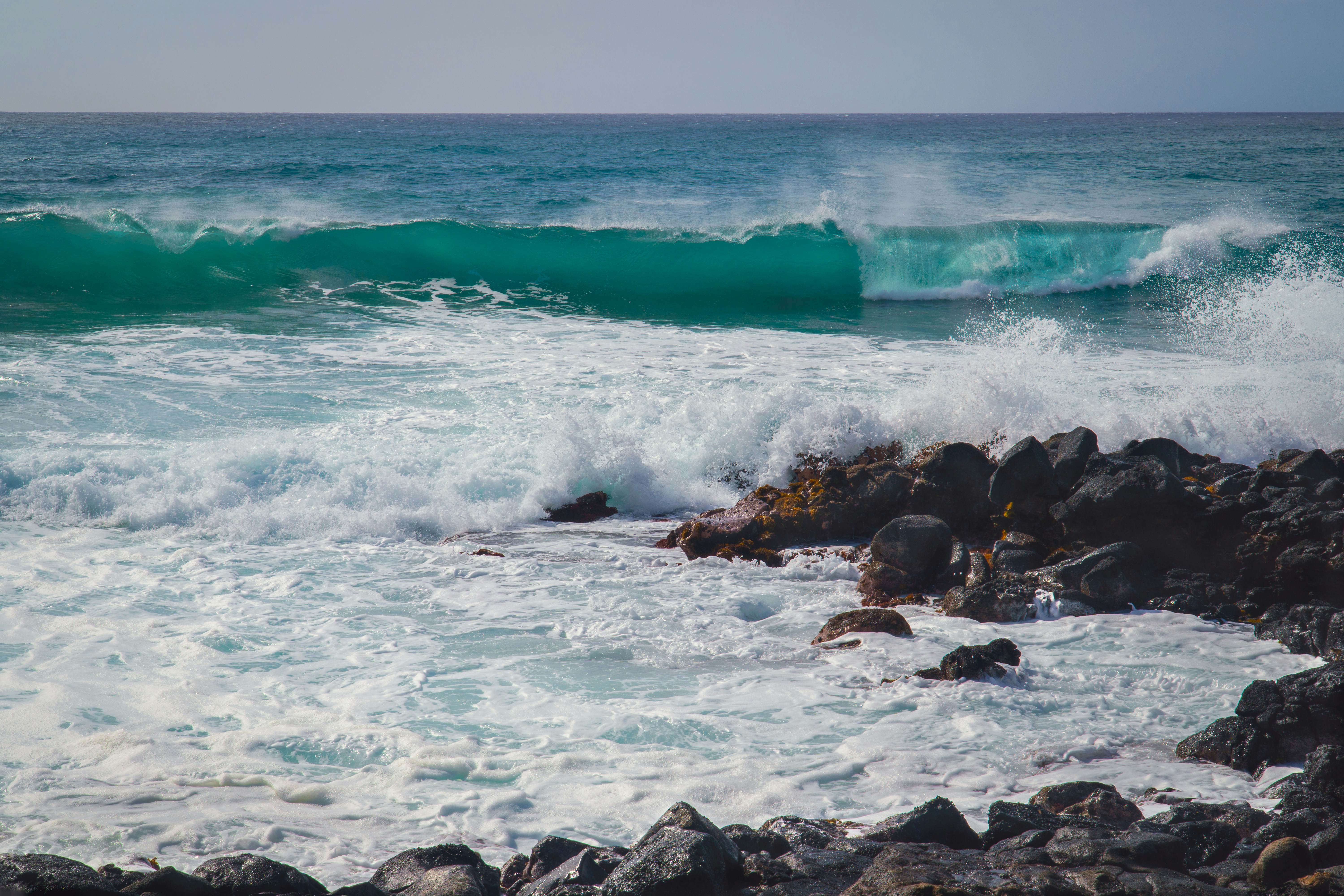 Photo by earl_plannerzone