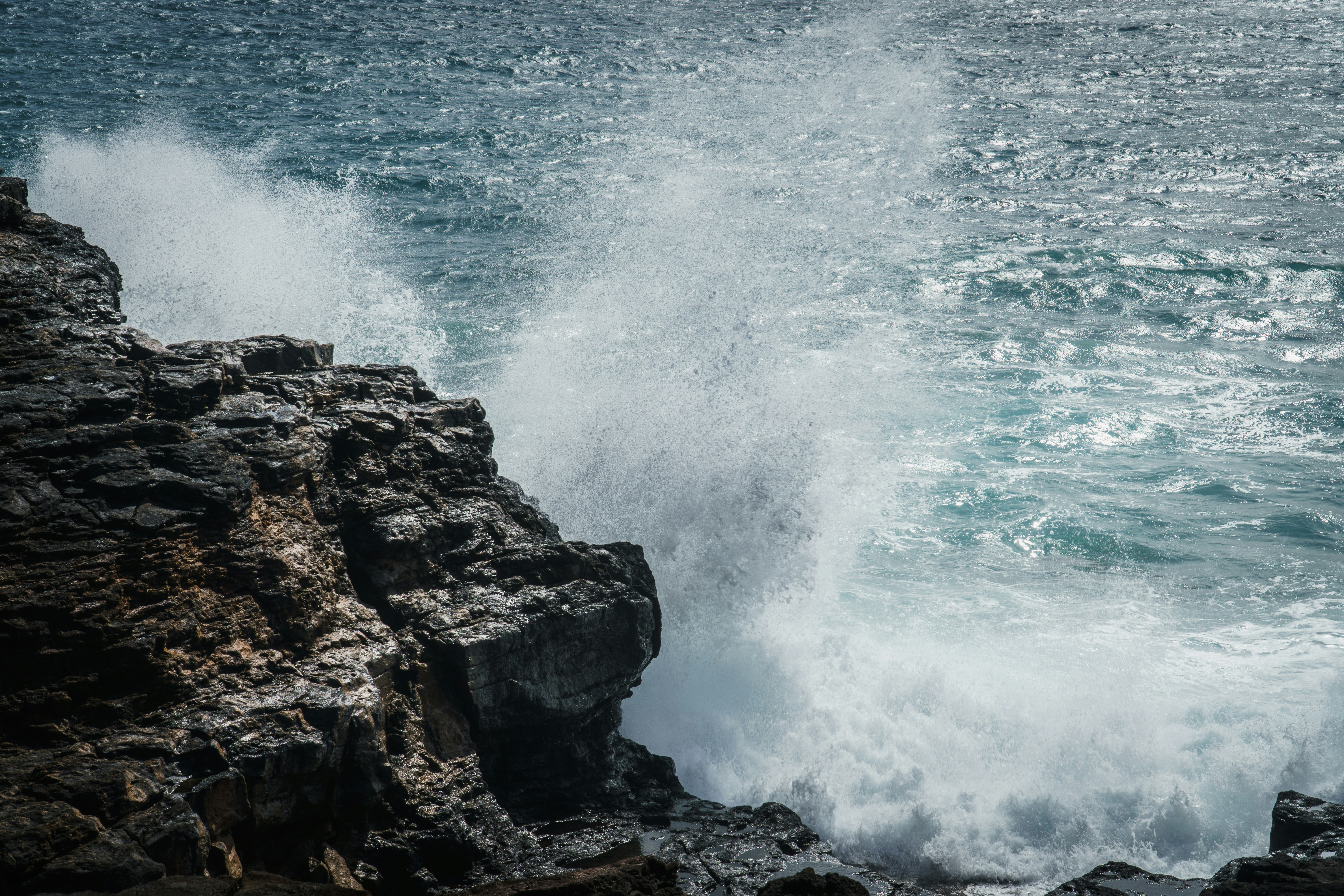 Photo by earl_plannerzone