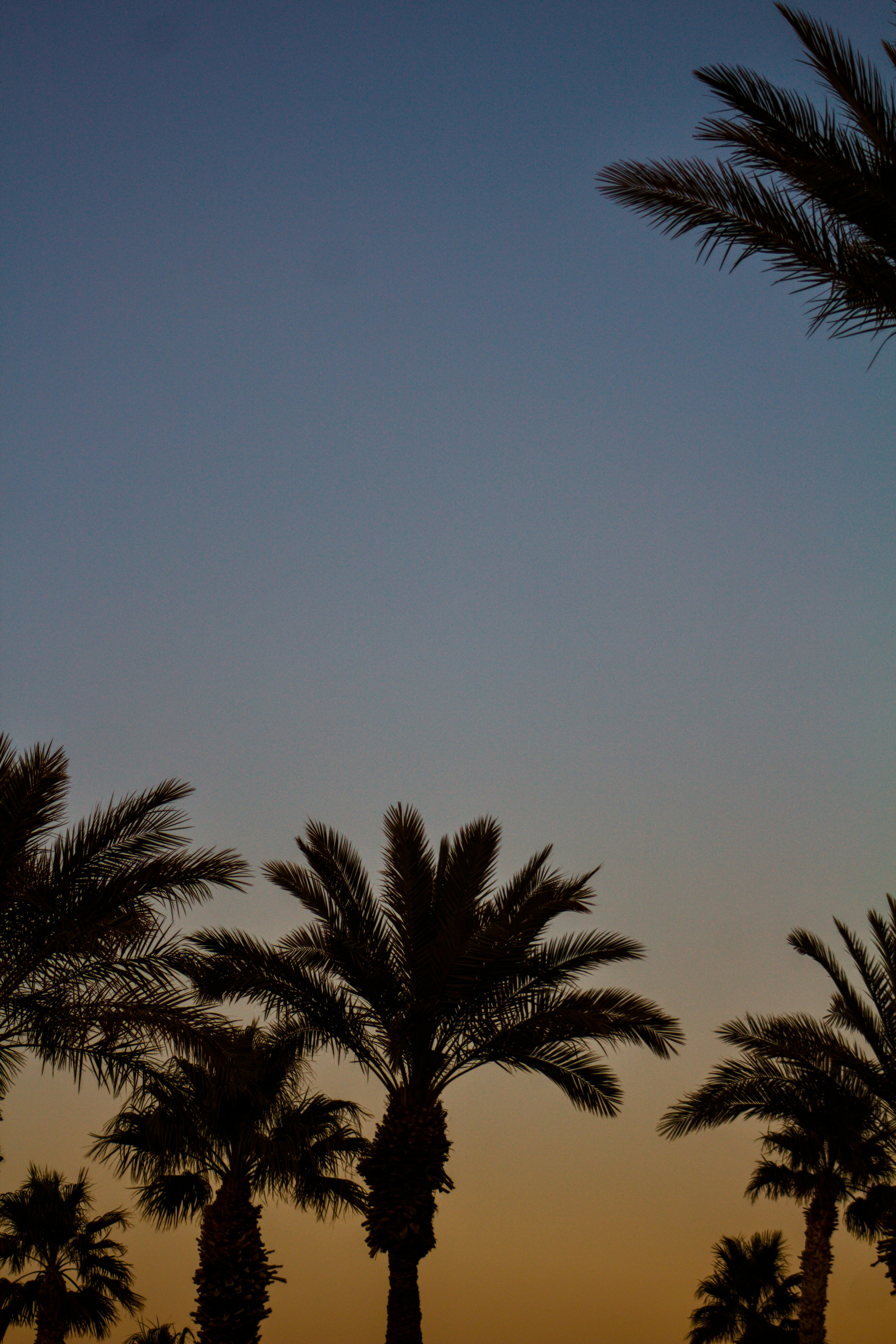 Photo by joshua_hoehne