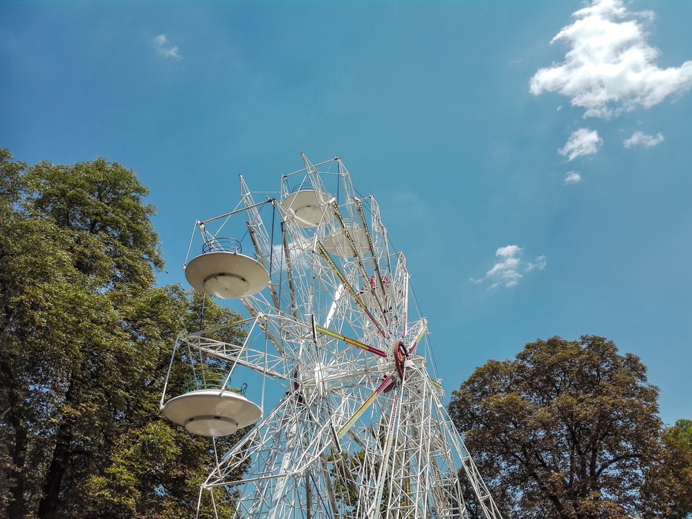 a ferris wheel in the middle of a park