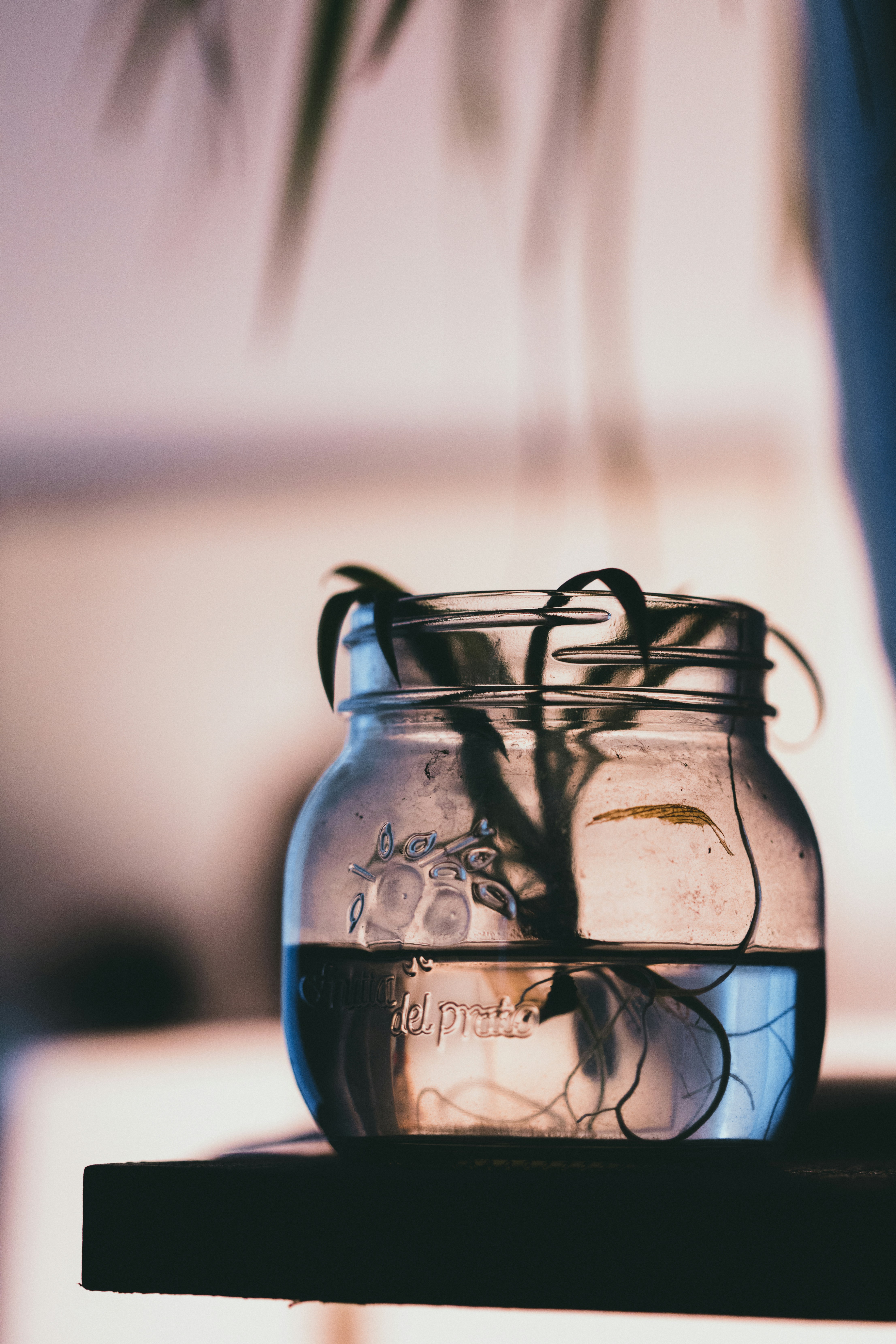 Photo by theshuttervision