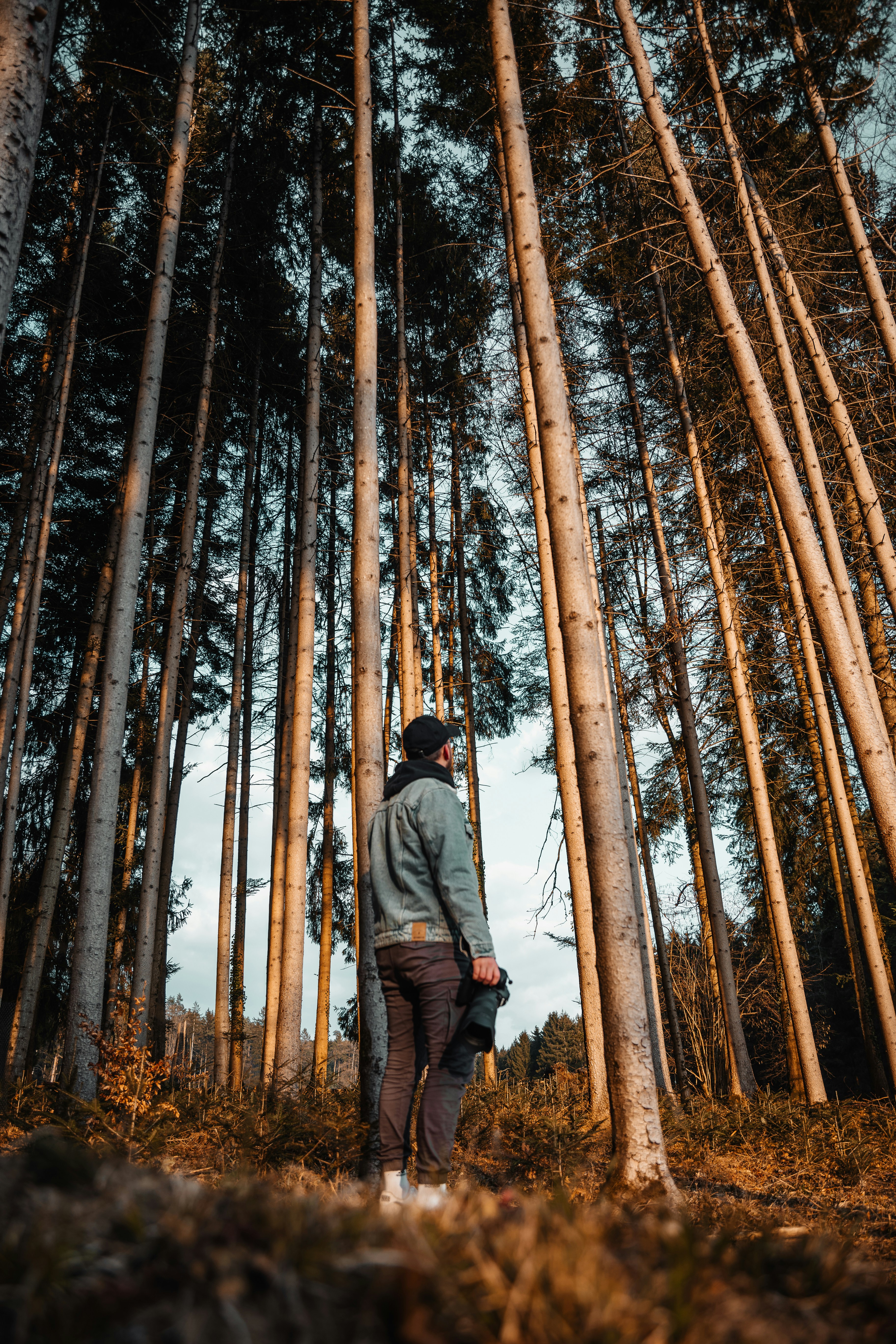 Photo by janoschphotos