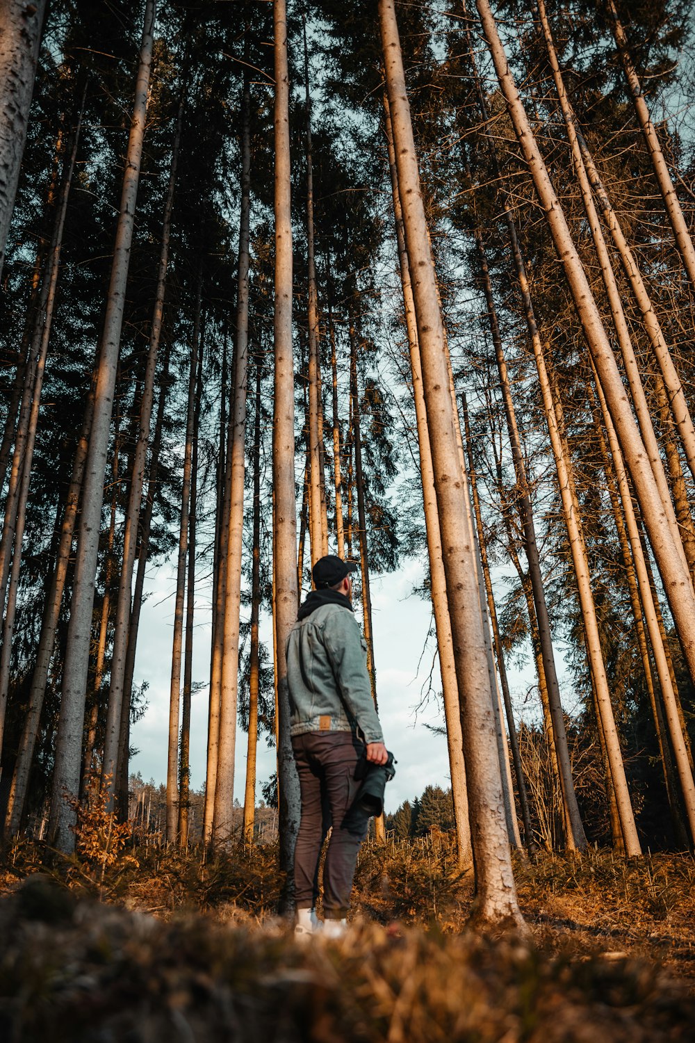 a man standing in the middle of a forest