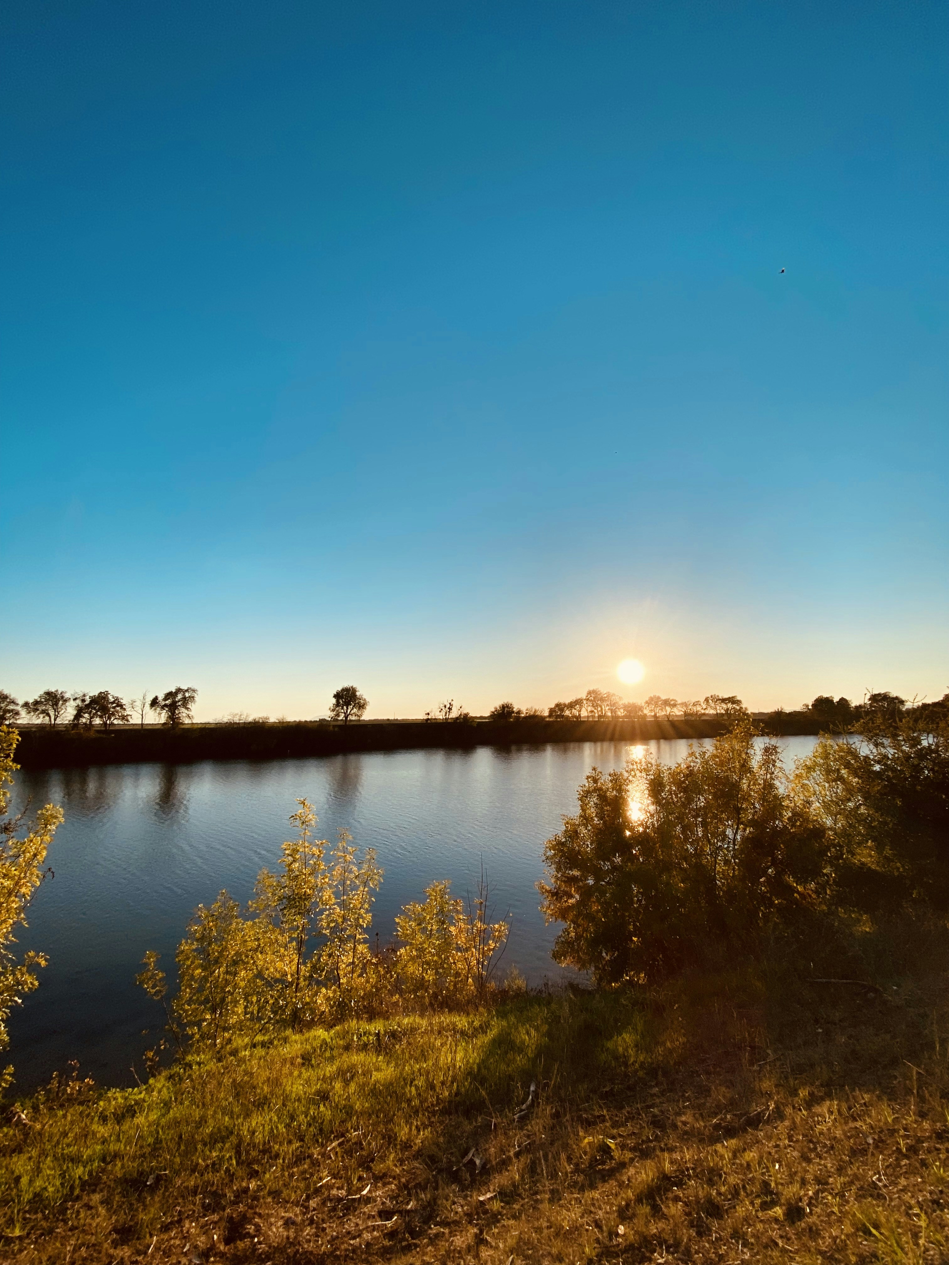 Photo by henrysphotos