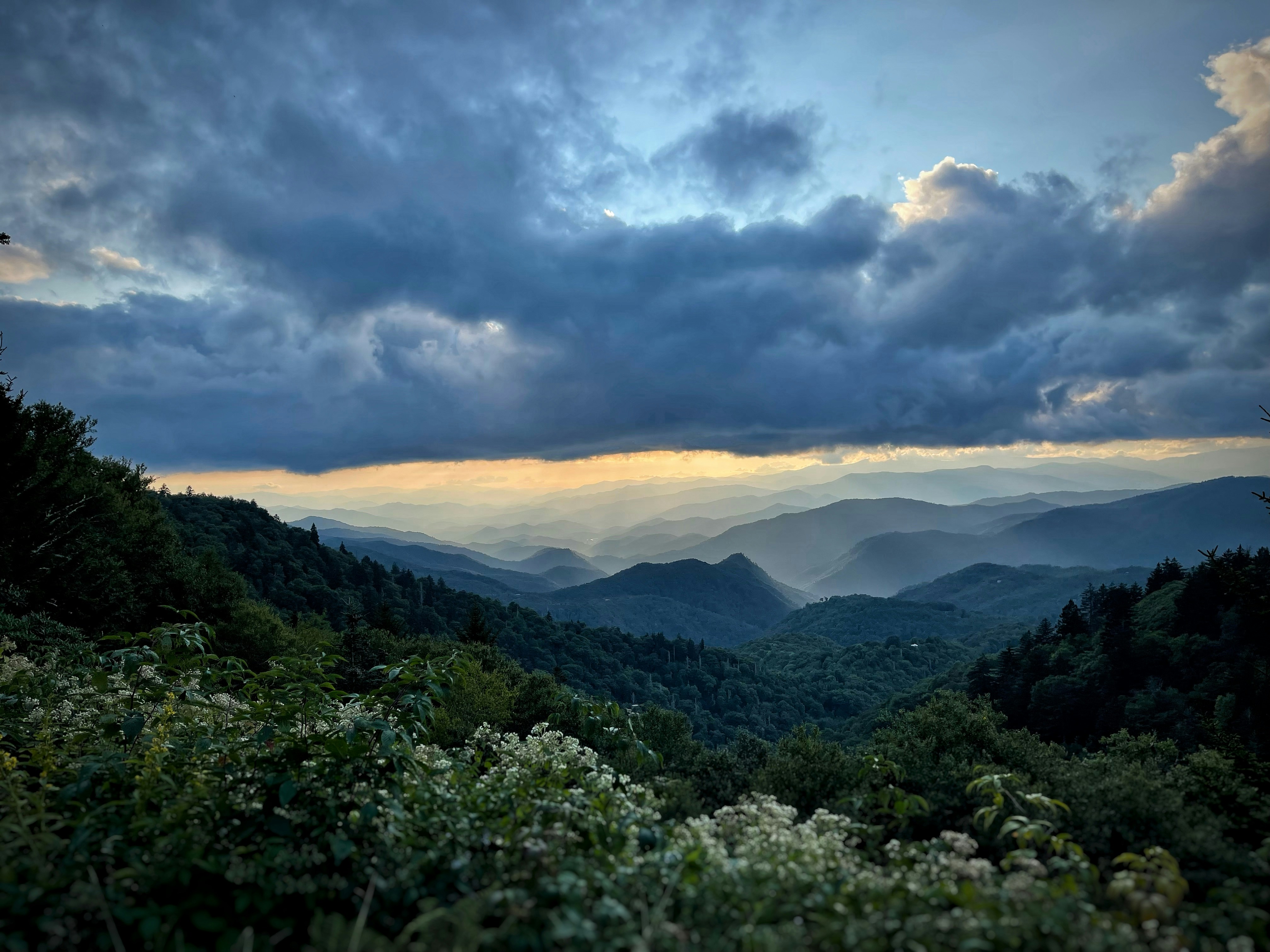 Photo by trentnelson_