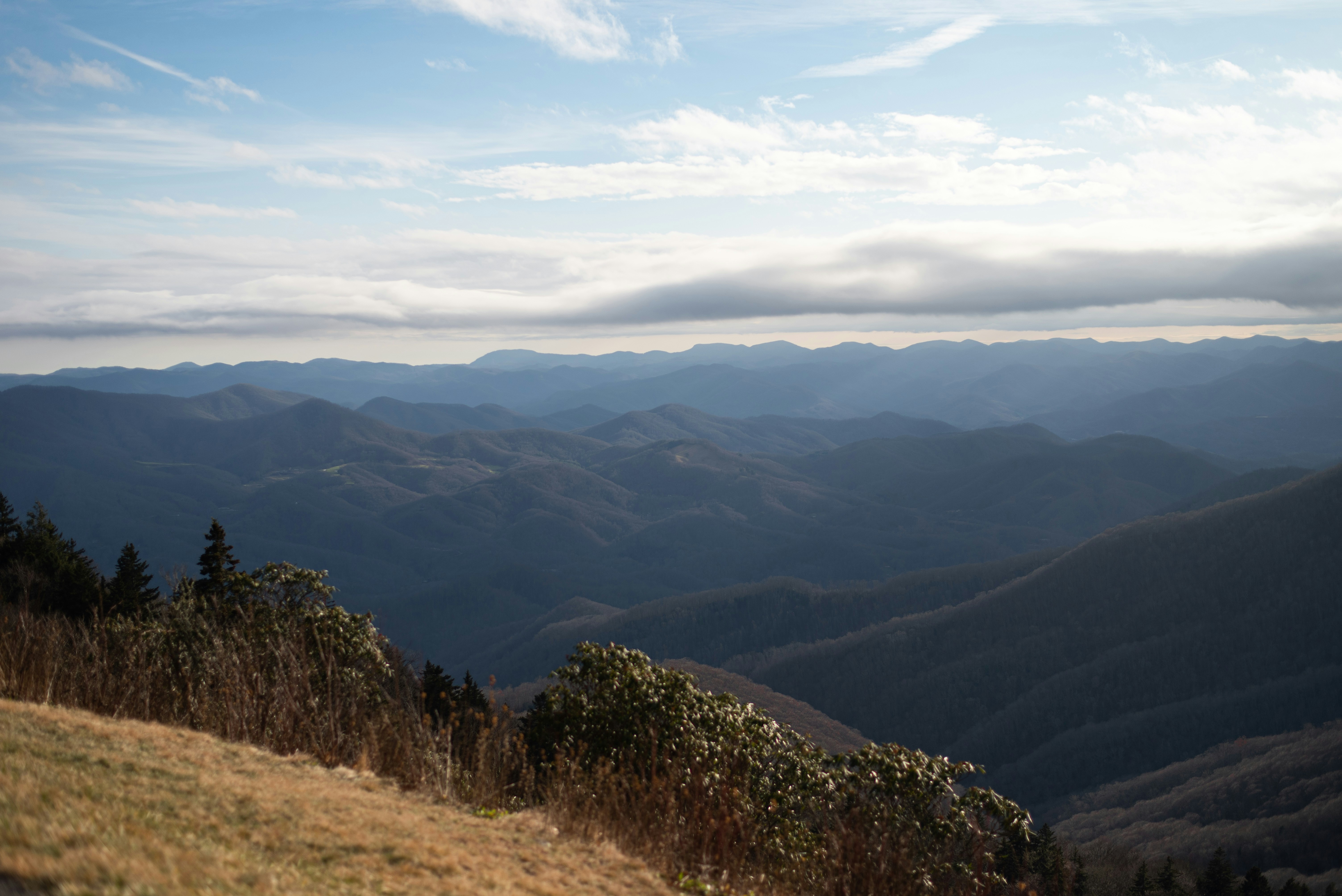 Photo by trentnelson_