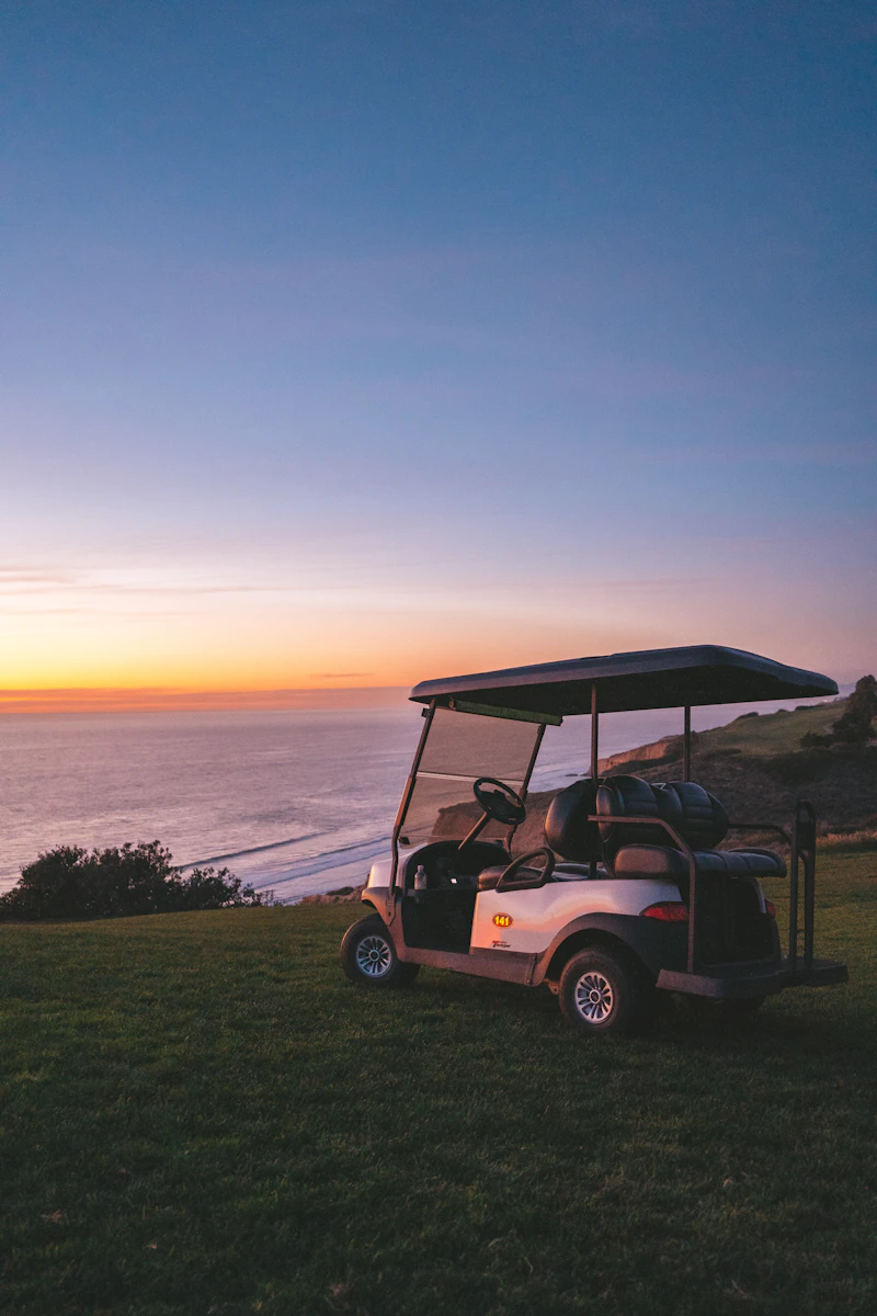 Harbor Cruiser golf cart parked on grass near the ocean shoreline
