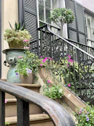 a potted plant sitting on top of a set of steps