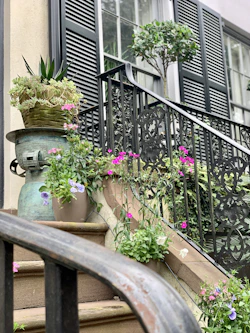 a potted plant sitting on top of a set of steps