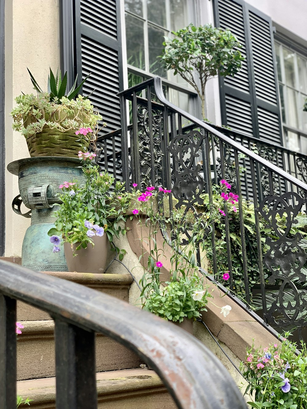 a potted plant sitting on top of a set of steps