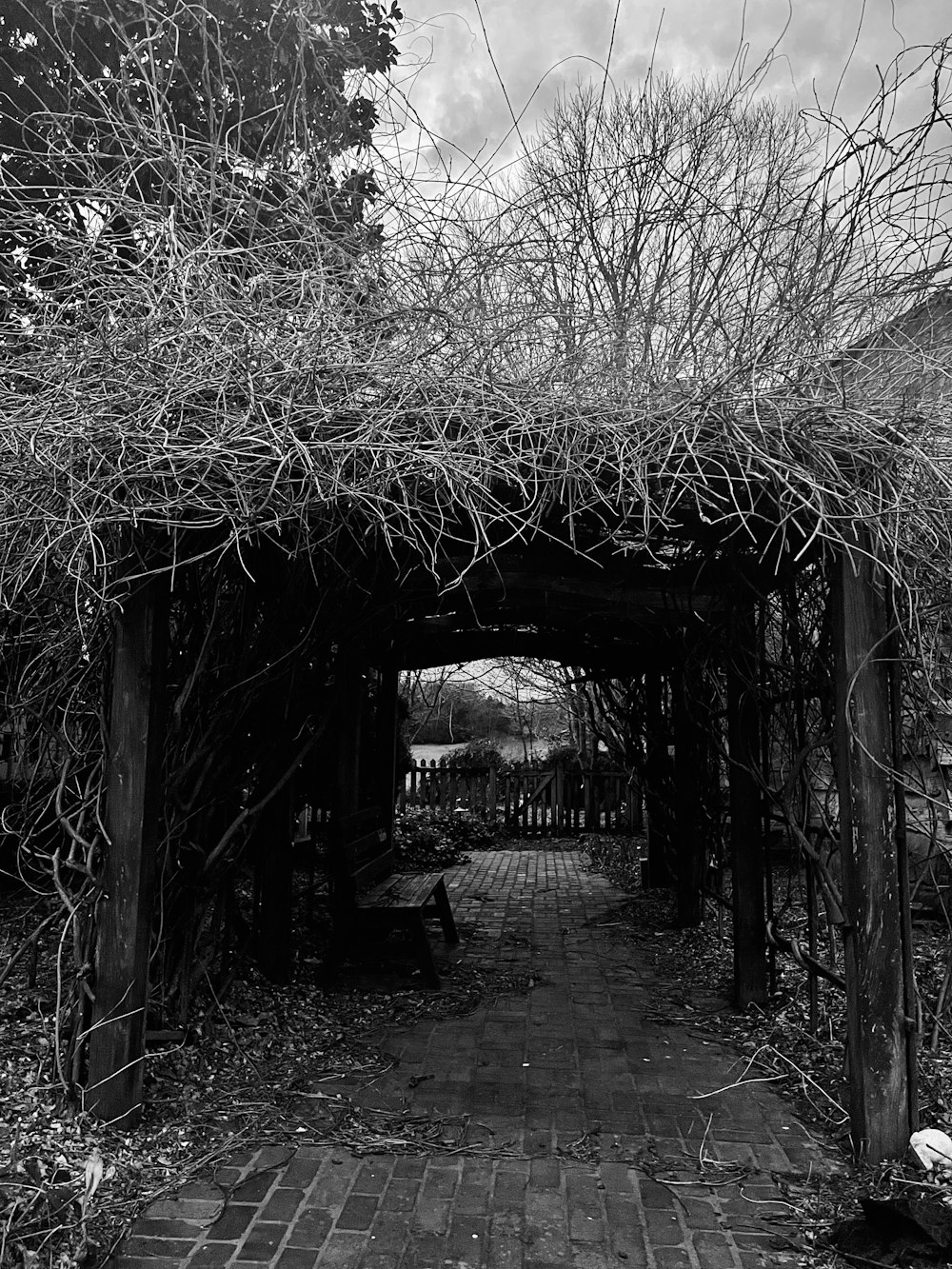 a black and white photo of a brick walkway