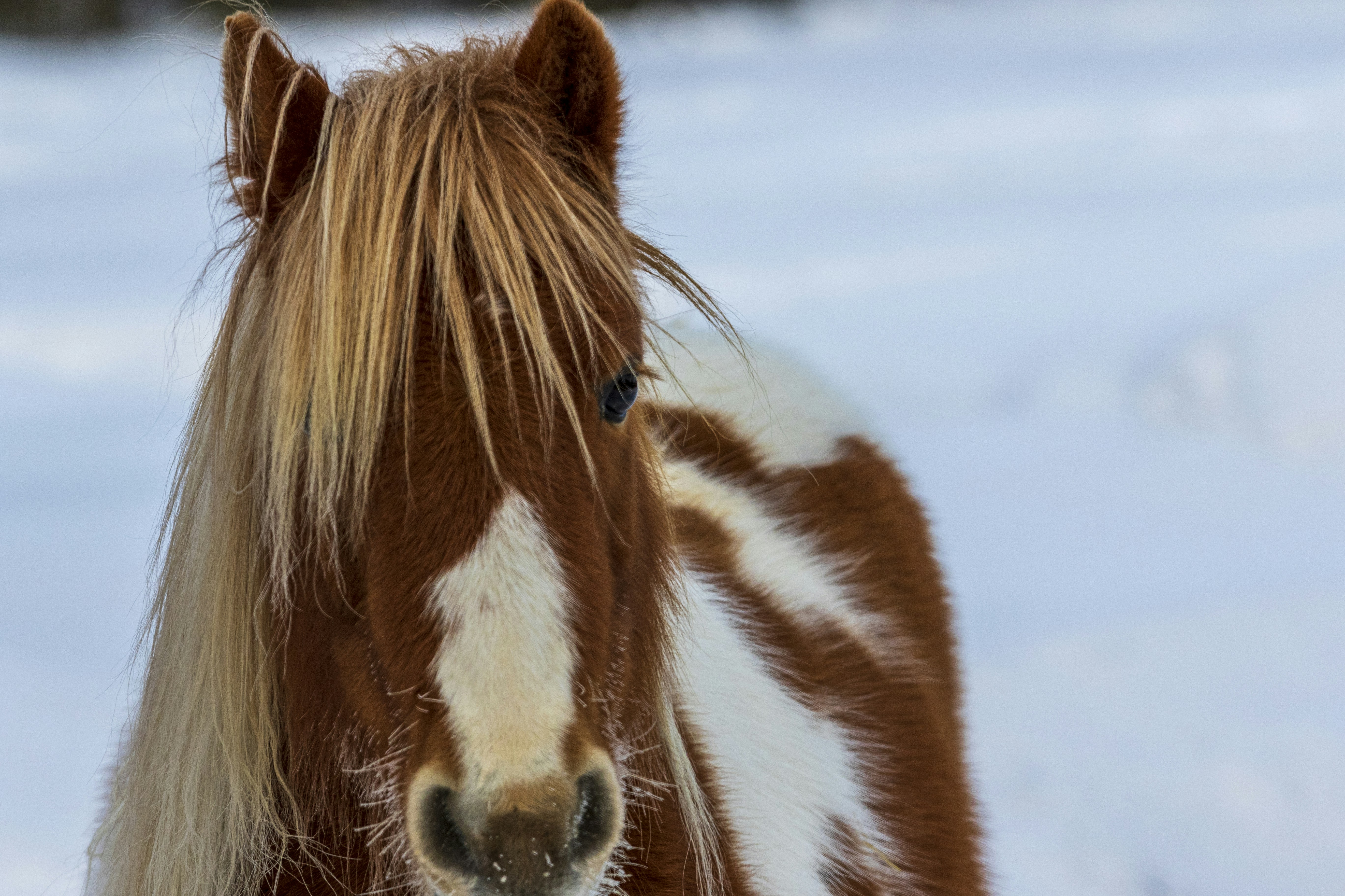 Photo by camerauthor