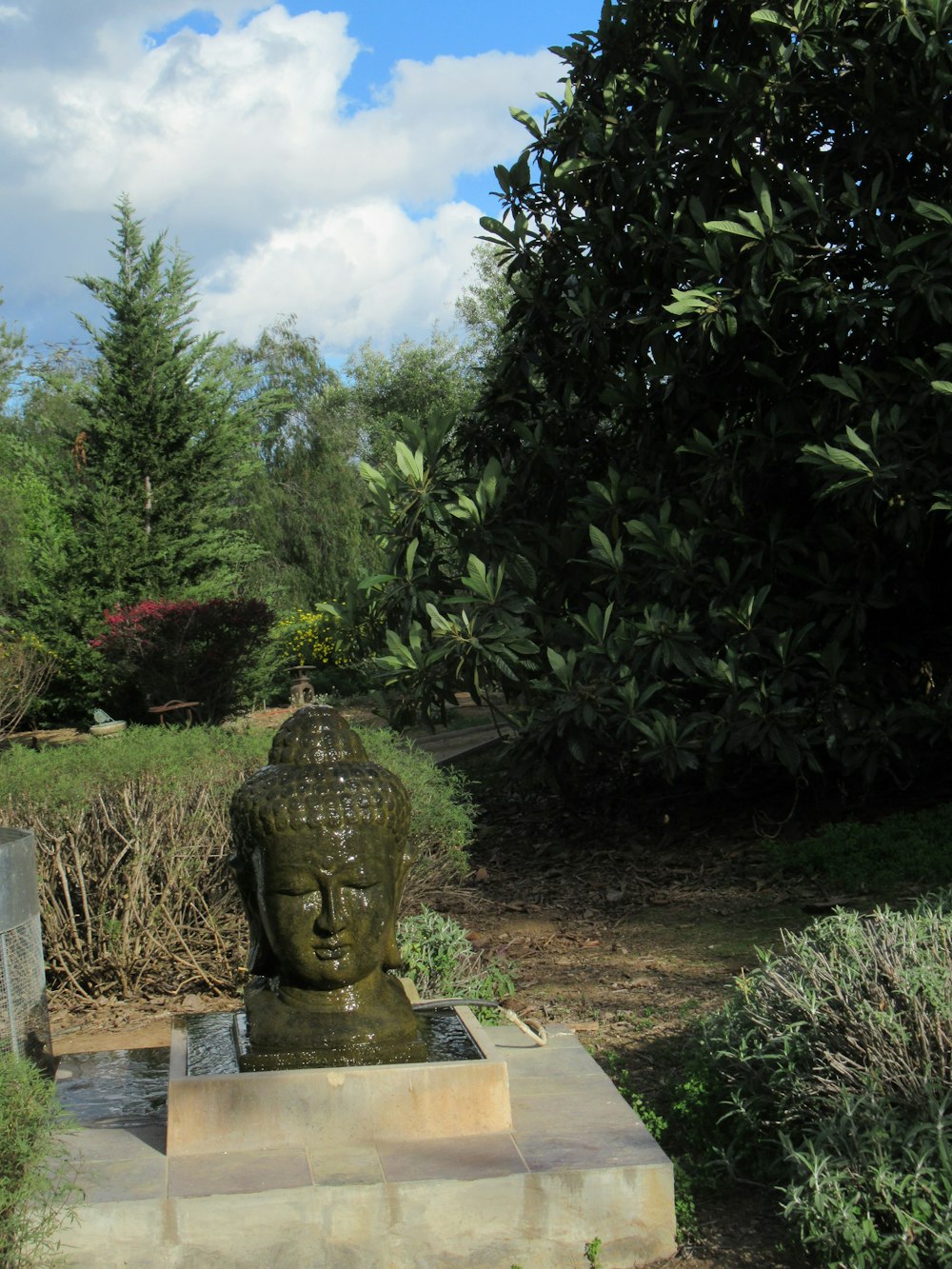a statue of a buddha in the middle of a garden