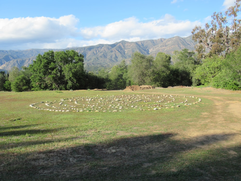 a circle of rocks in the middle of a field